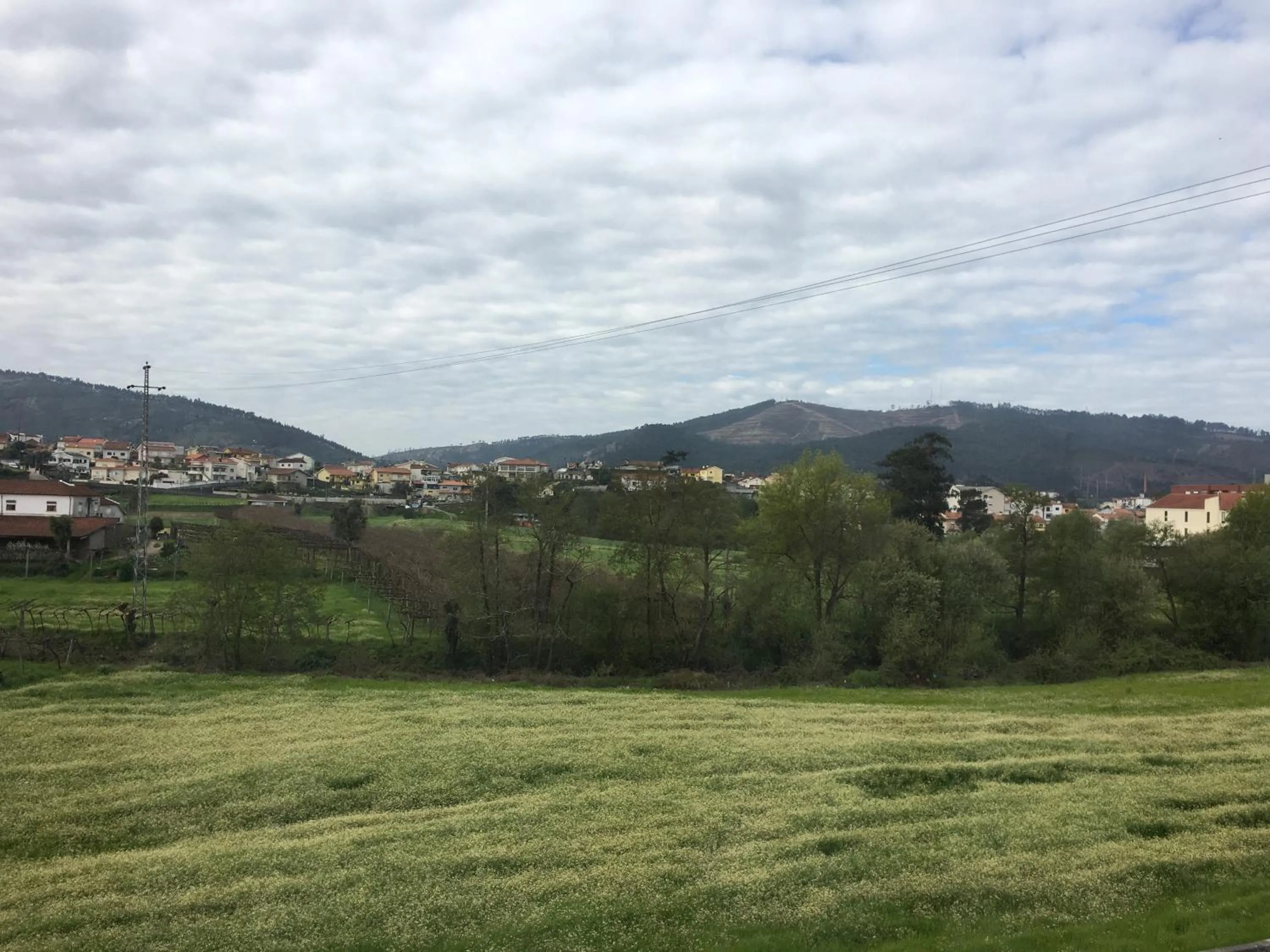 Other in Fiel Chef Alojamento Local