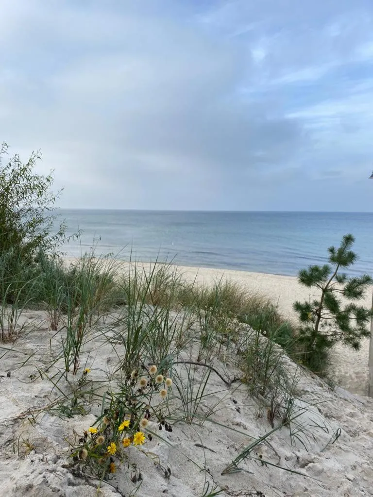 Pensjonat Dziki Zakątek