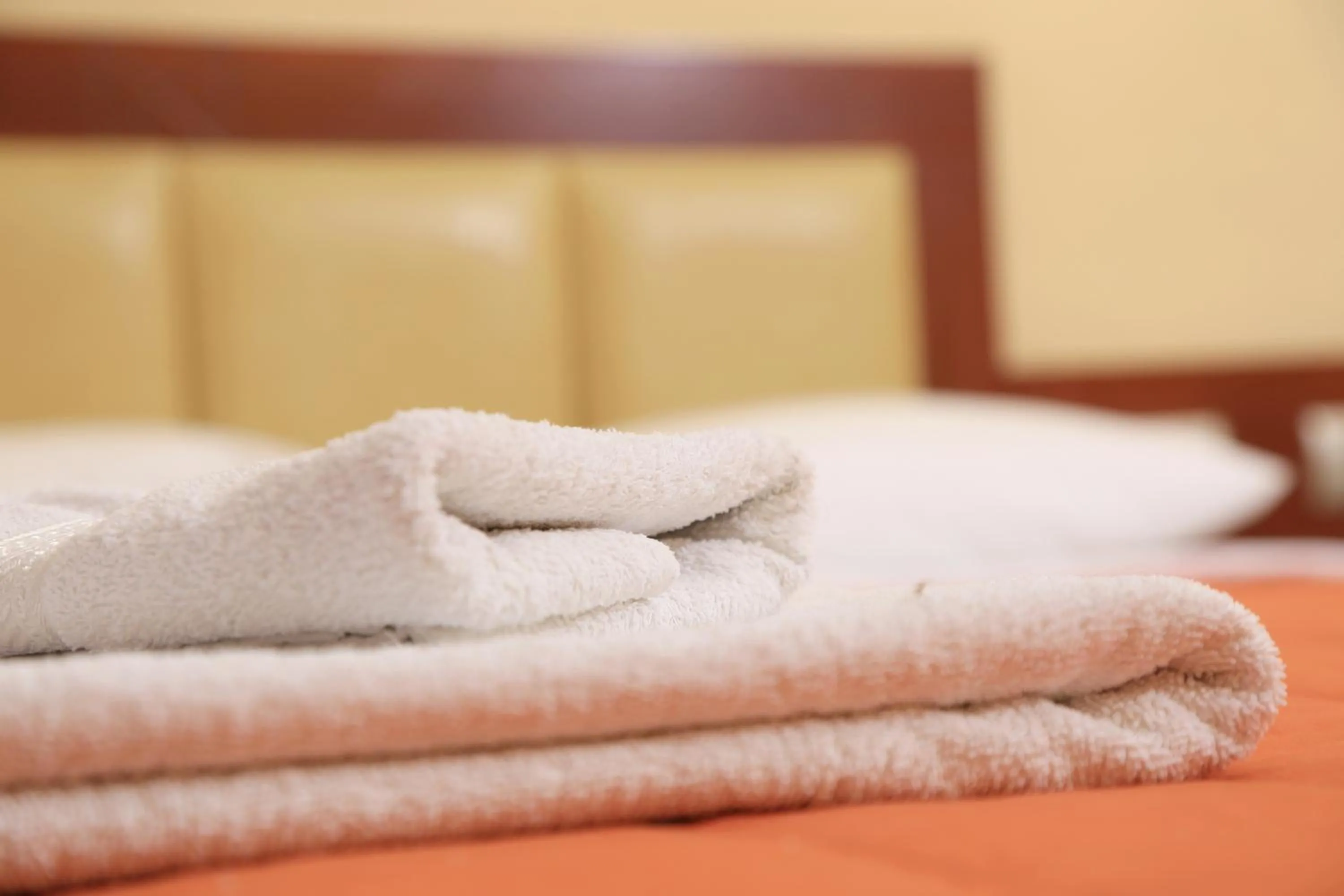 Bed in Hotel Zeus