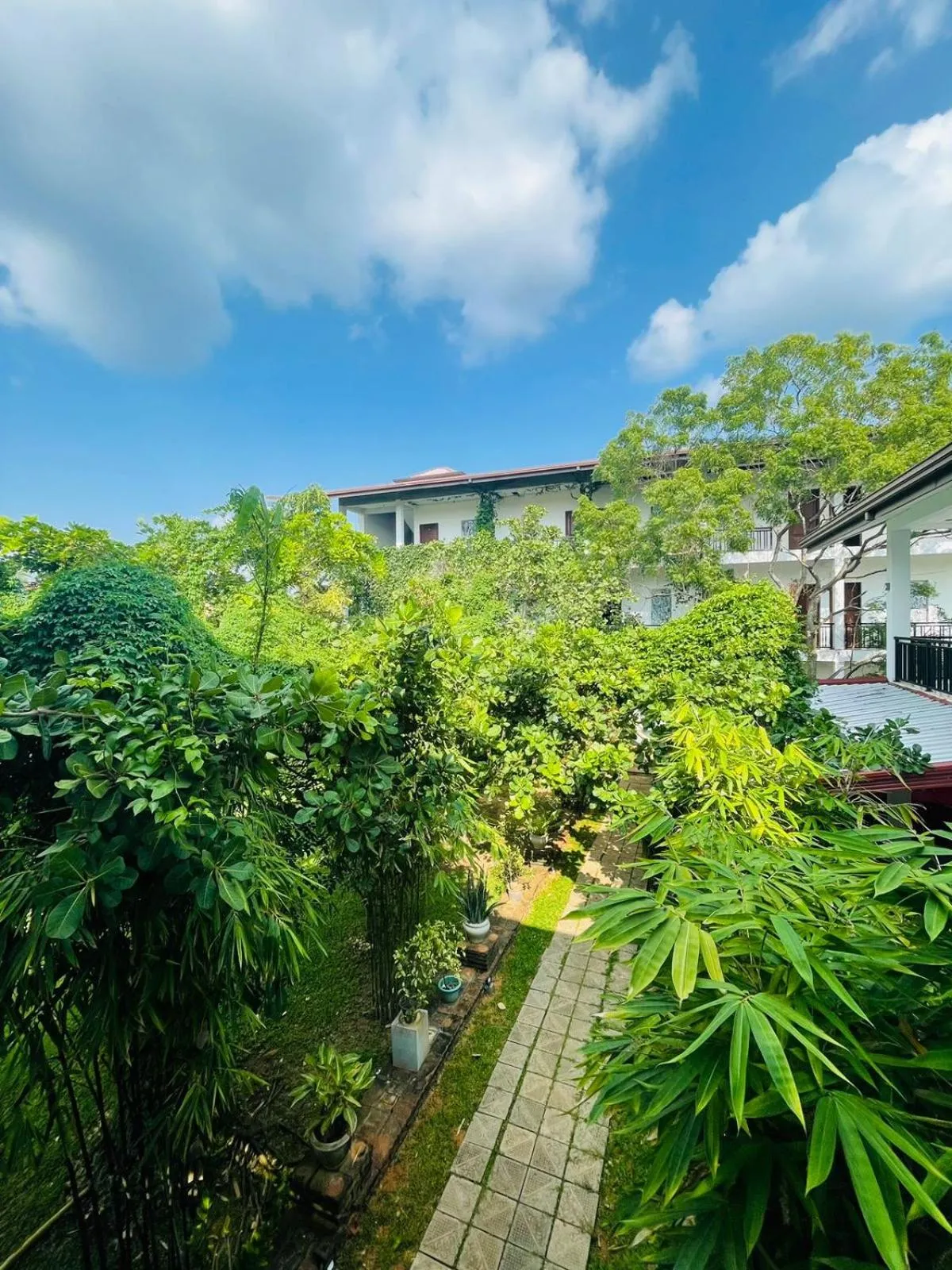 Property building in Four Points Resort - Anuradhapura