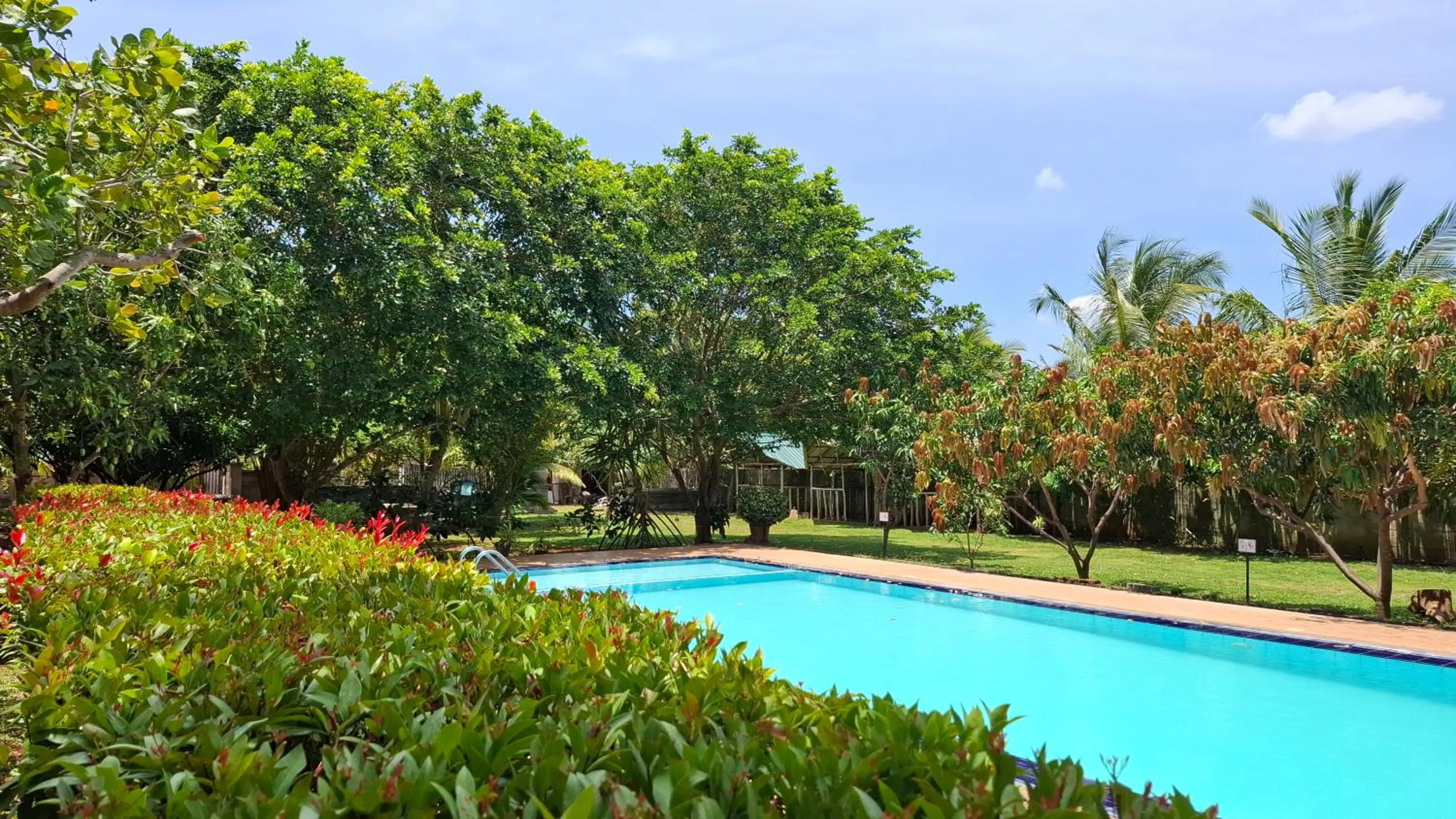 Property building in Four Points Resort - Anuradhapura