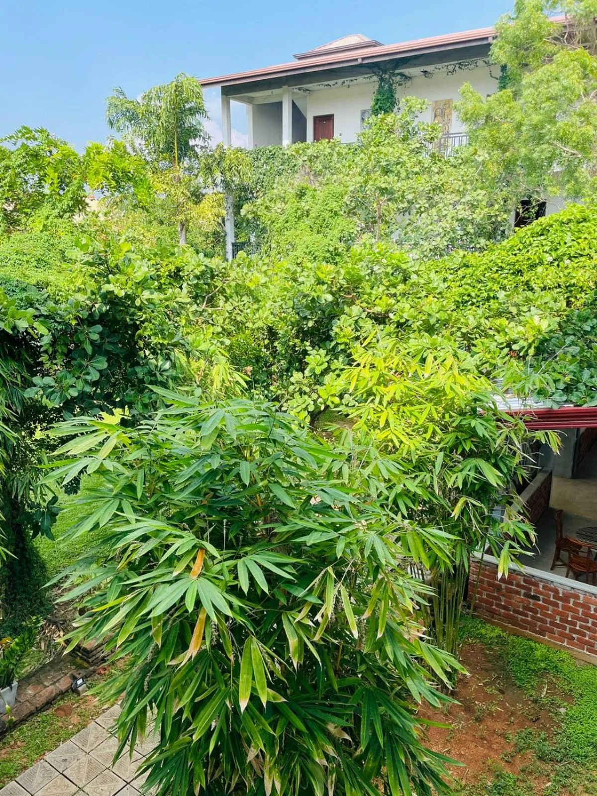 Garden in Four Points Resort - Anuradhapura