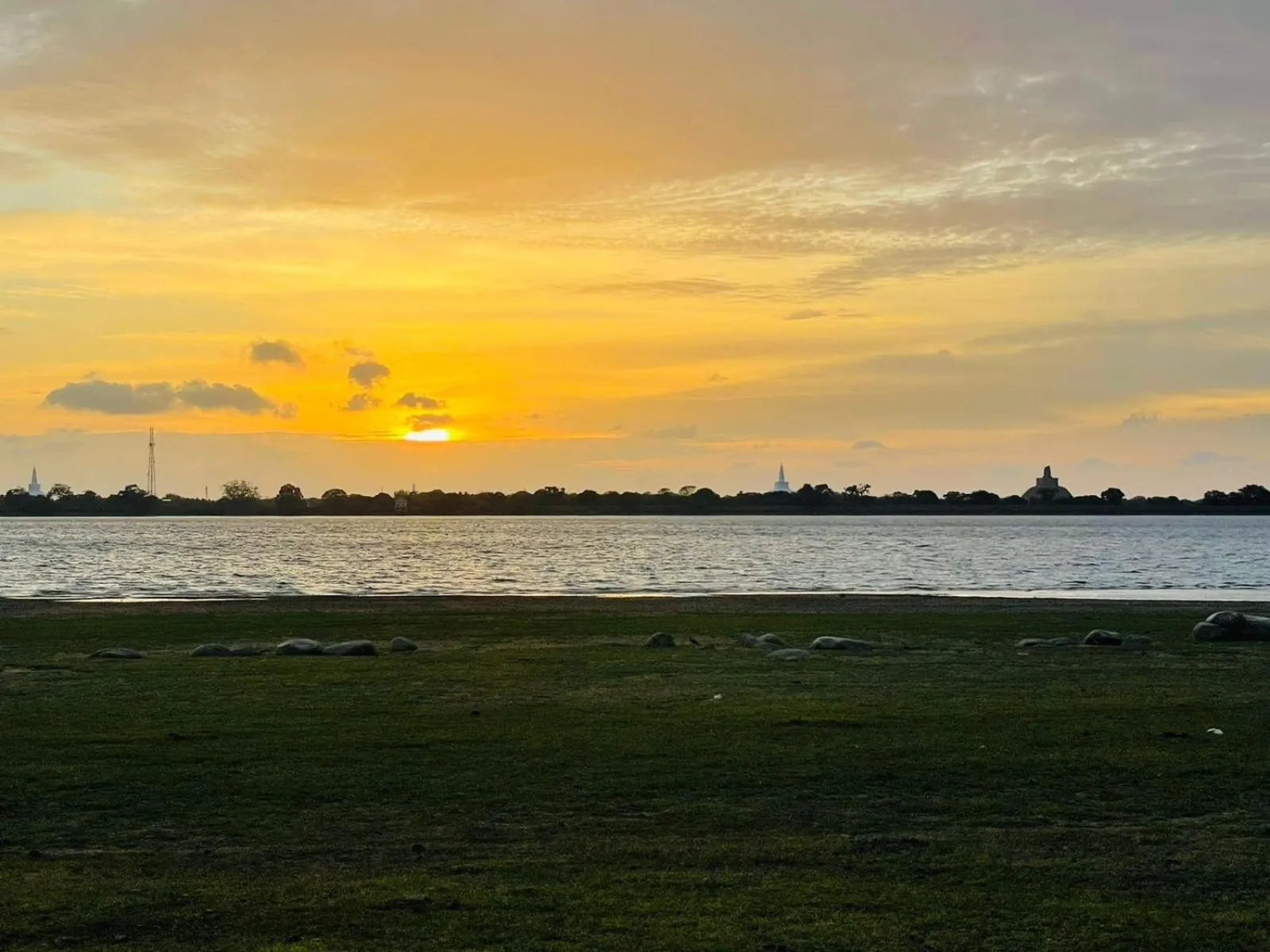 Natural landscape in Four Points Resort - Anuradhapura