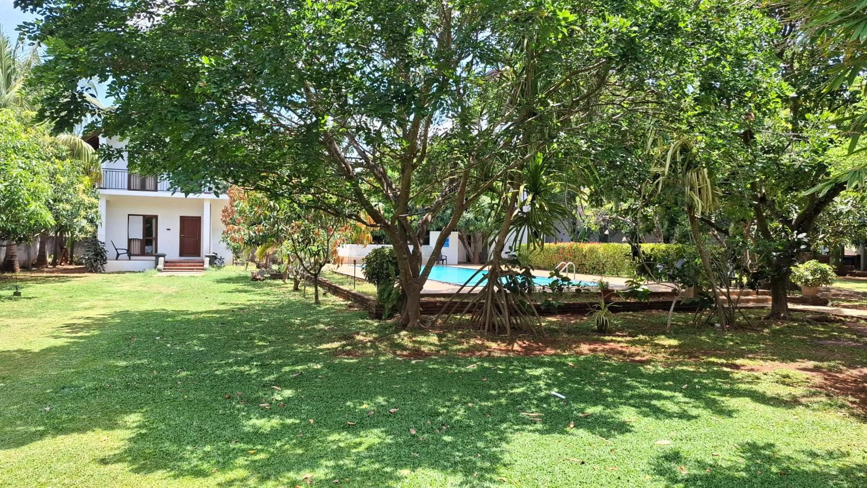 Garden view in Four Points Resort - Anuradhapura