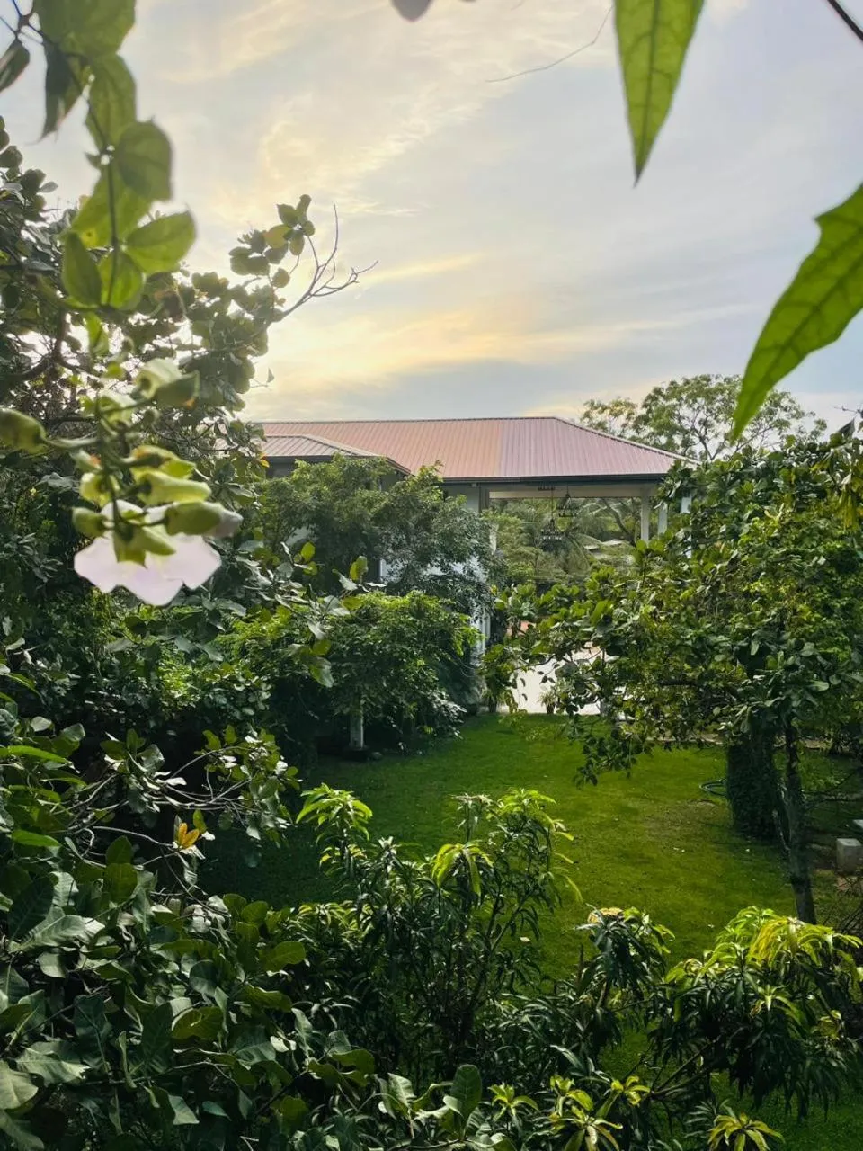 Garden in Four Points Resort - Anuradhapura