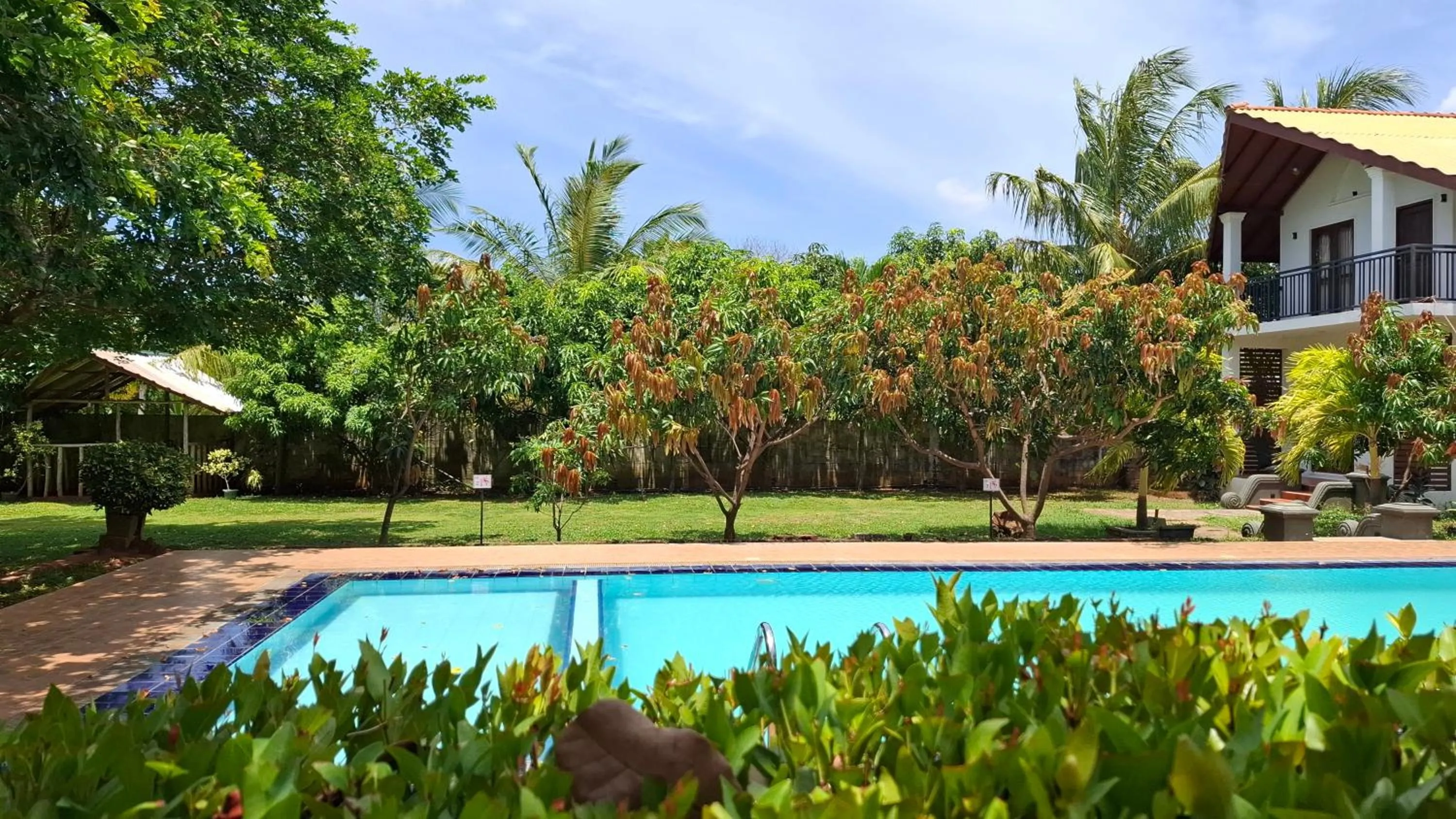 Swimming pool in Four Points Resort - Anuradhapura