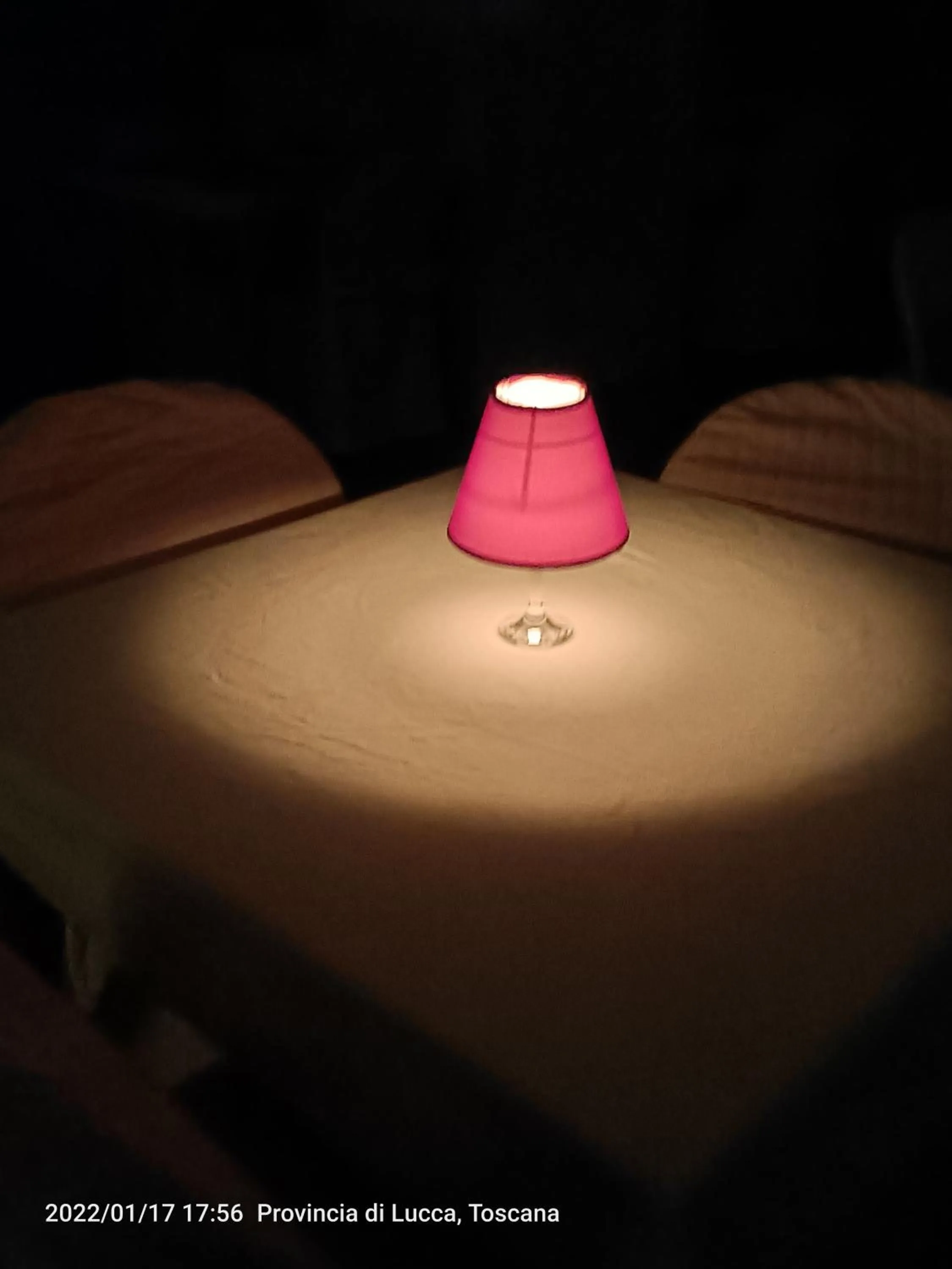 Restaurant/places to eat in Hotel Laurin