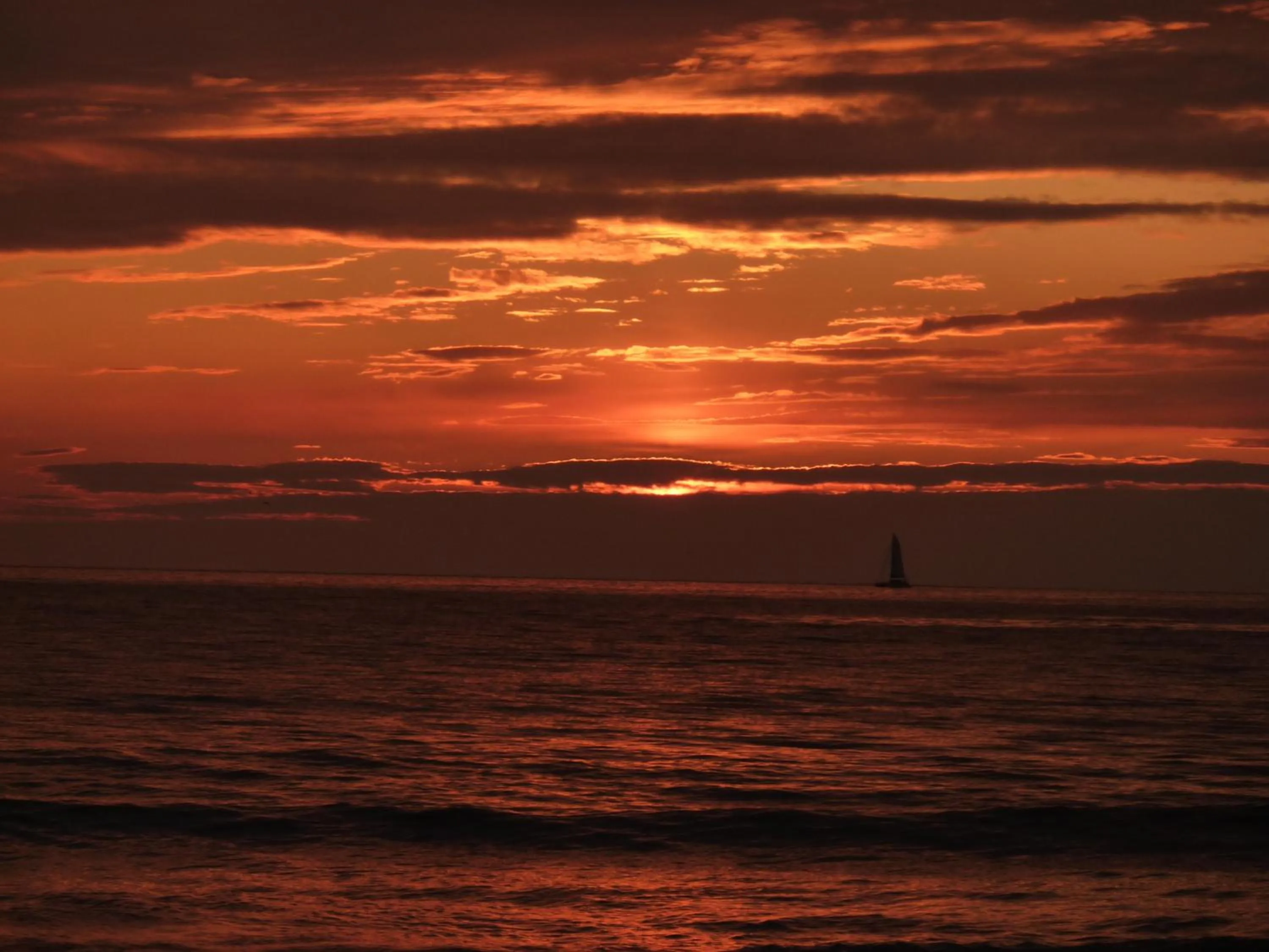 Natural landscape in Hotel Laurin