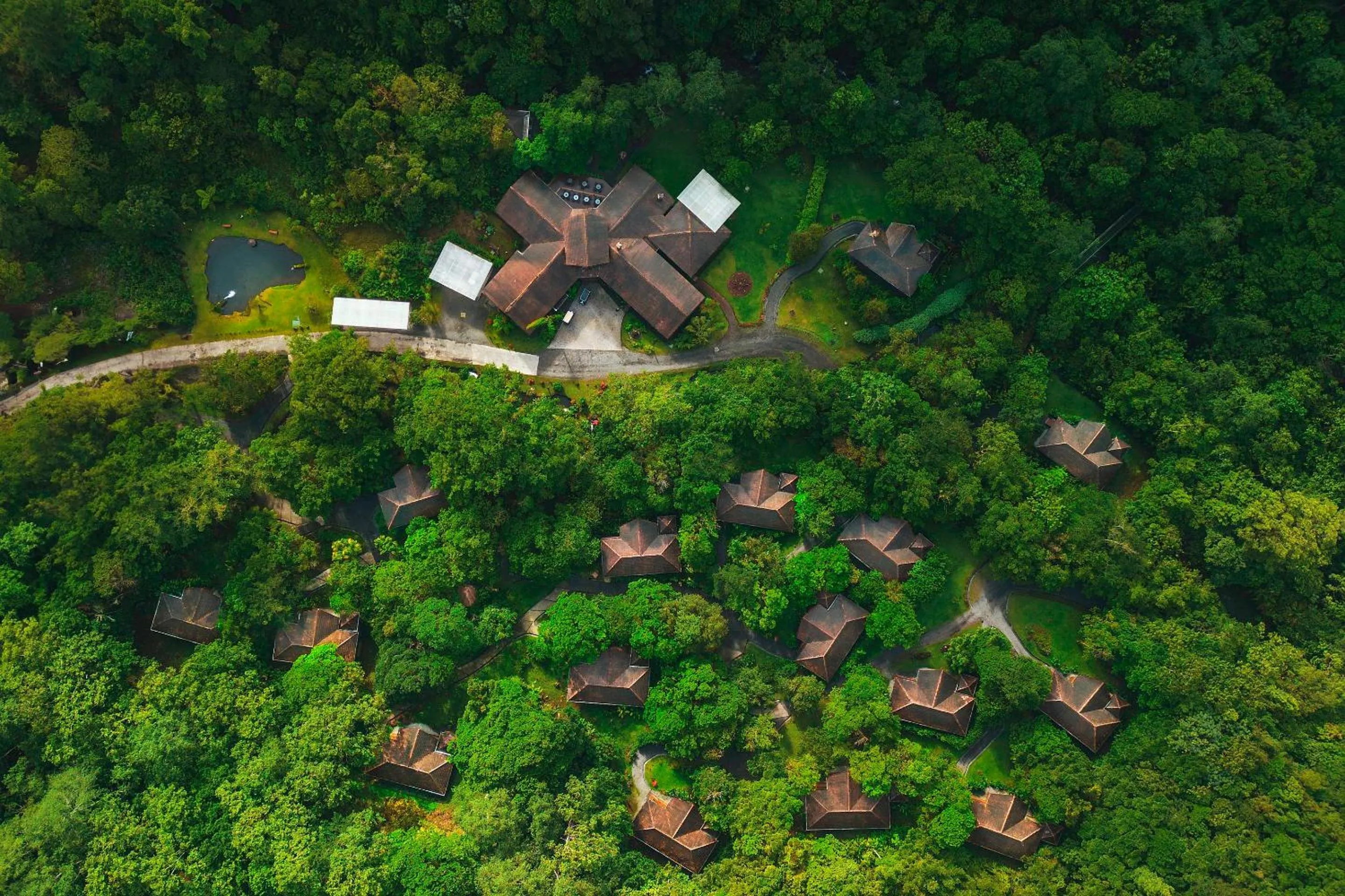 Bird's eye view in El Silencio Lodge & Spa Costa Rica