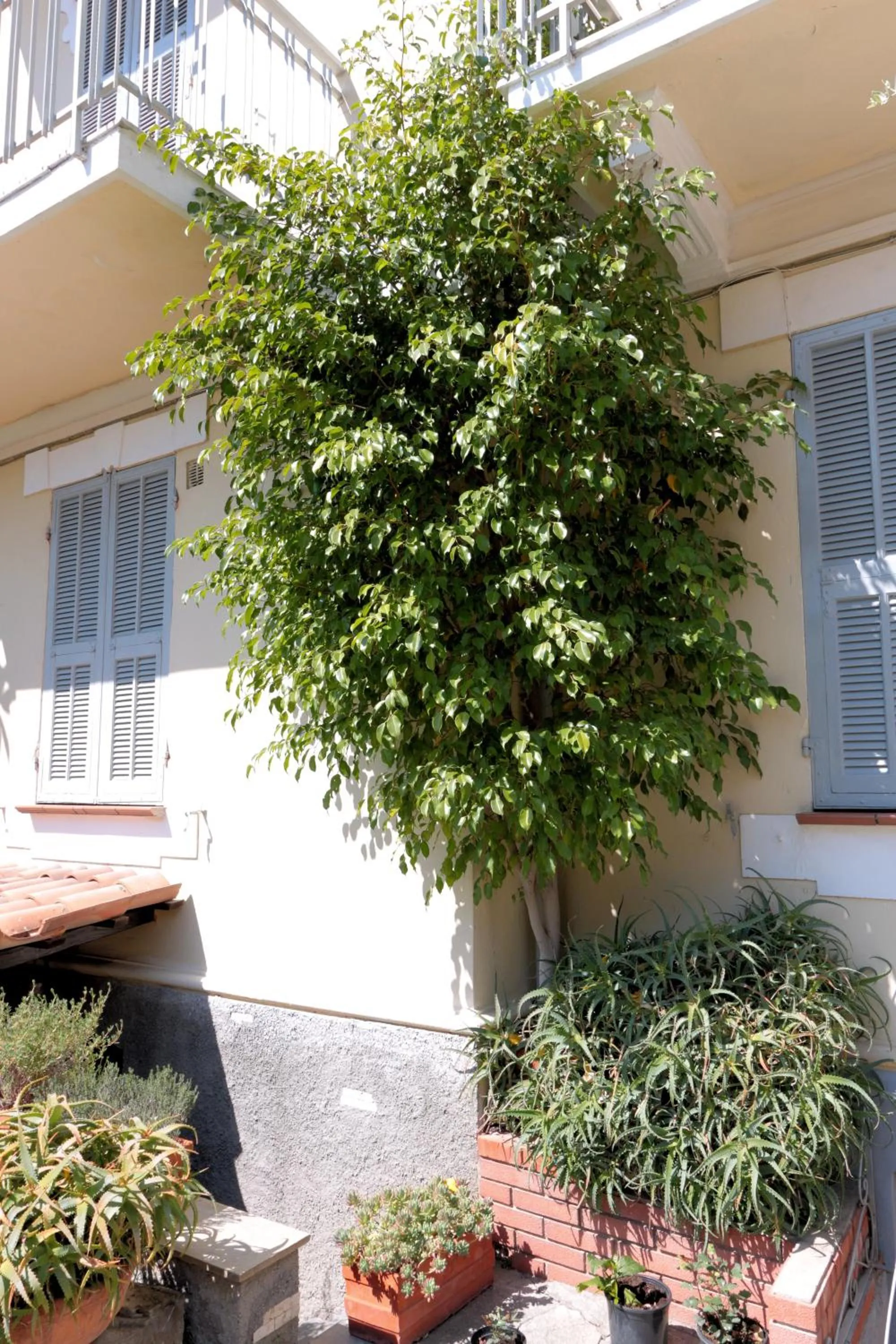 Day in Hotel Villa Amelia