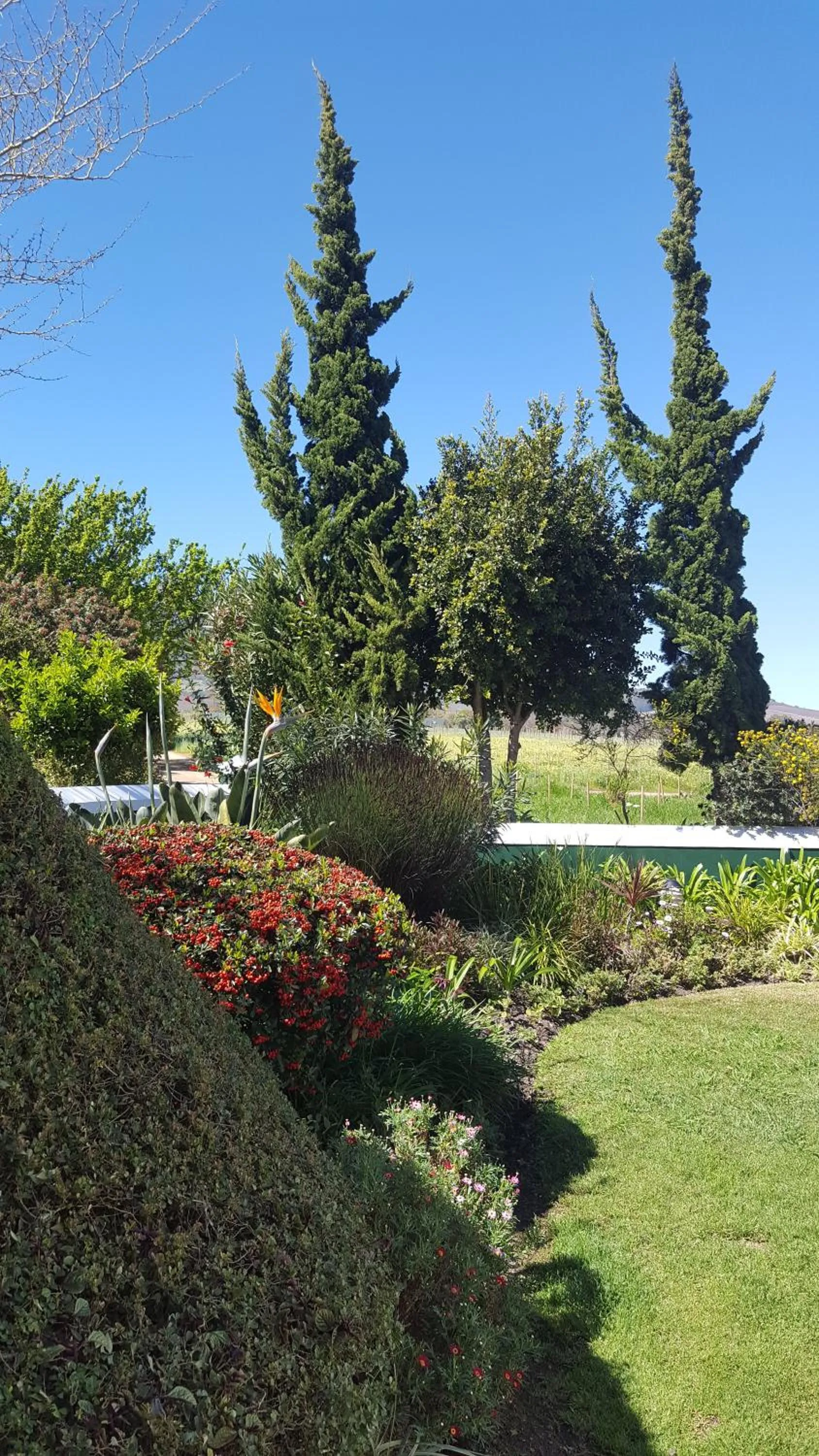 Natural landscape in Eikendal Lodge