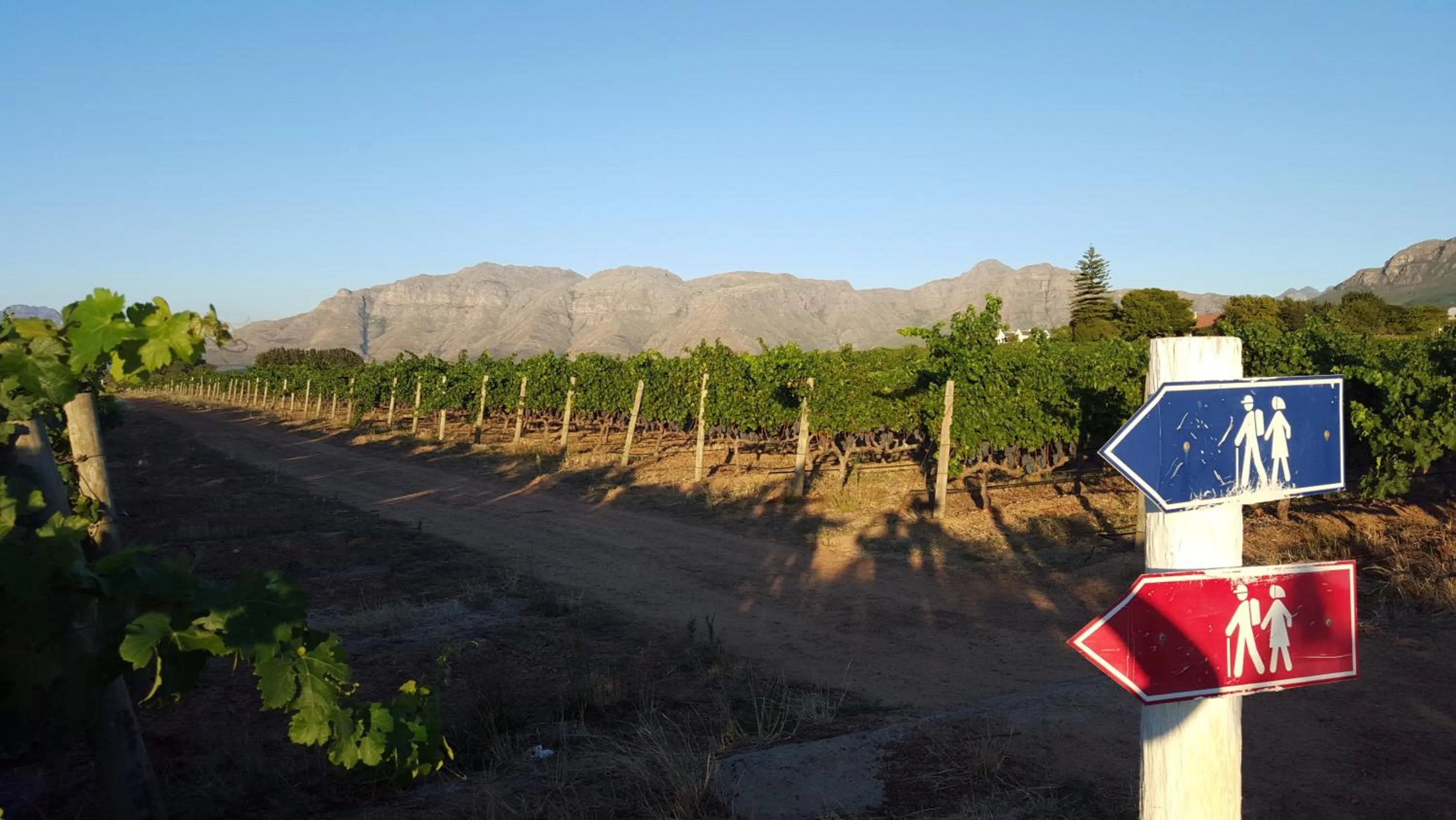 Hiking in Eikendal Lodge