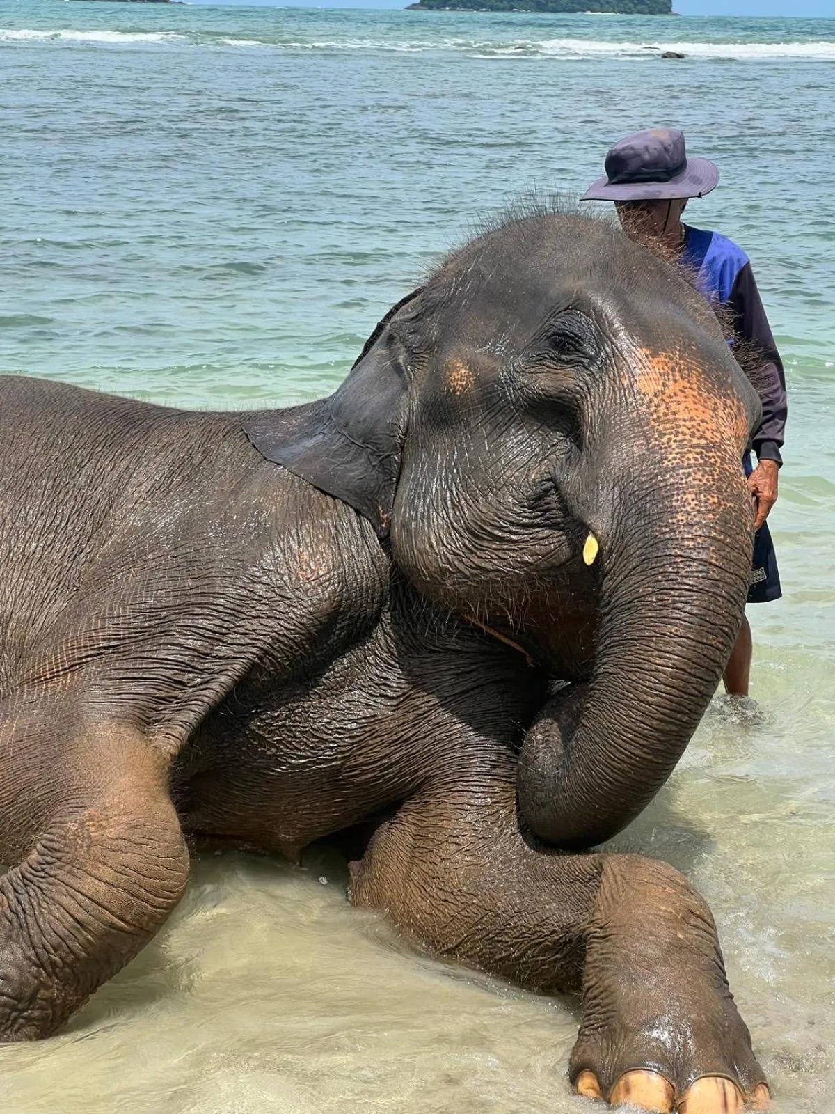 Tropical Paradise Leelawadee Resort