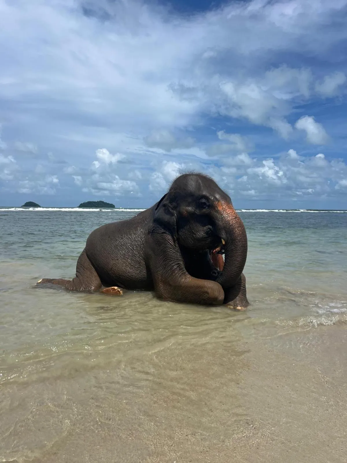 Tropical Paradise Leelawadee Resort