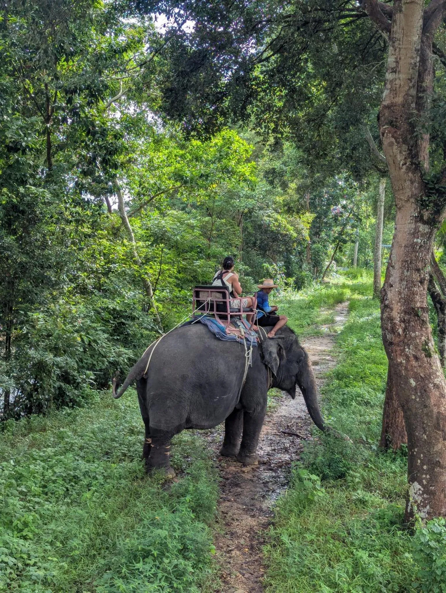 Tropical Paradise Leelawadee Resort