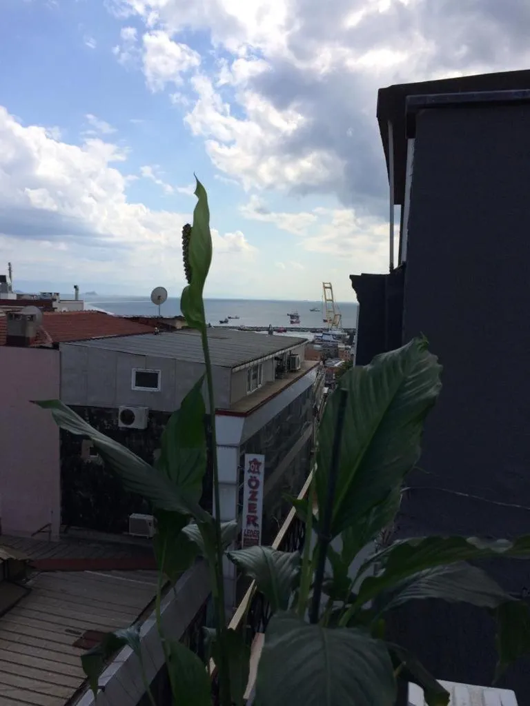 Natural landscape in Hotel Wiva