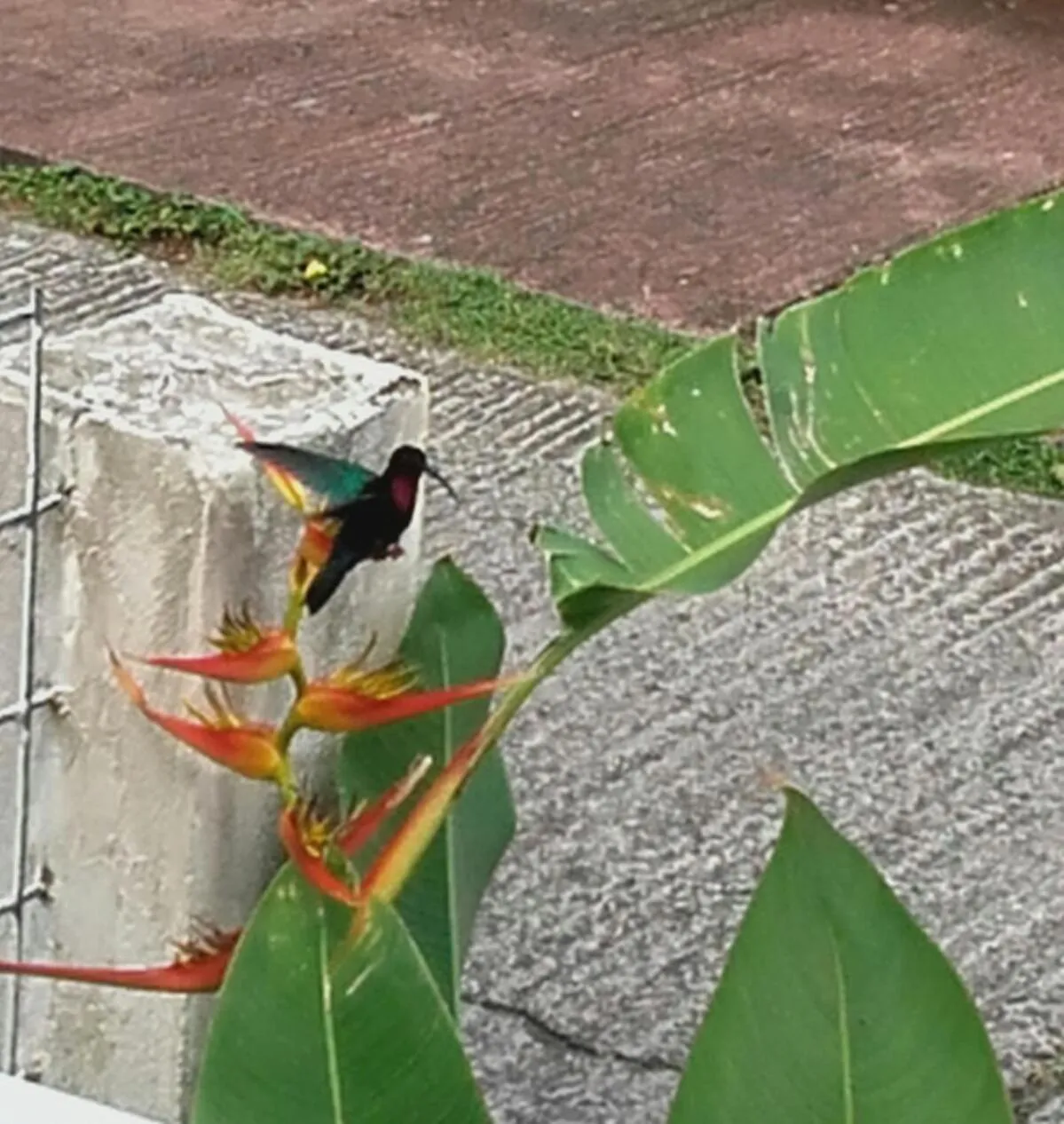 Natural landscape in Chambre d'hôte la Calebasse
