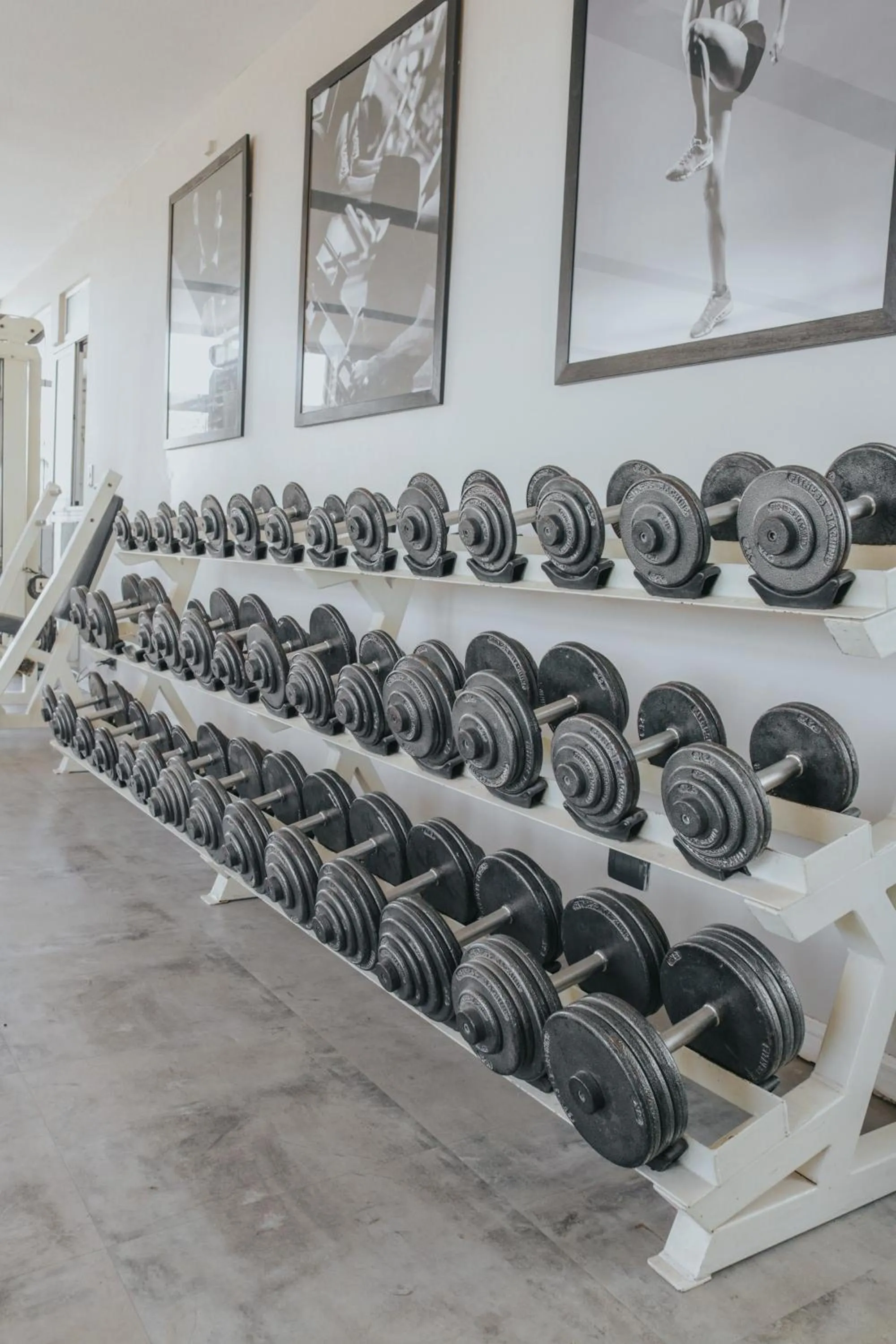 Fitness centre/facilities in Plaza Real Suites Hotel