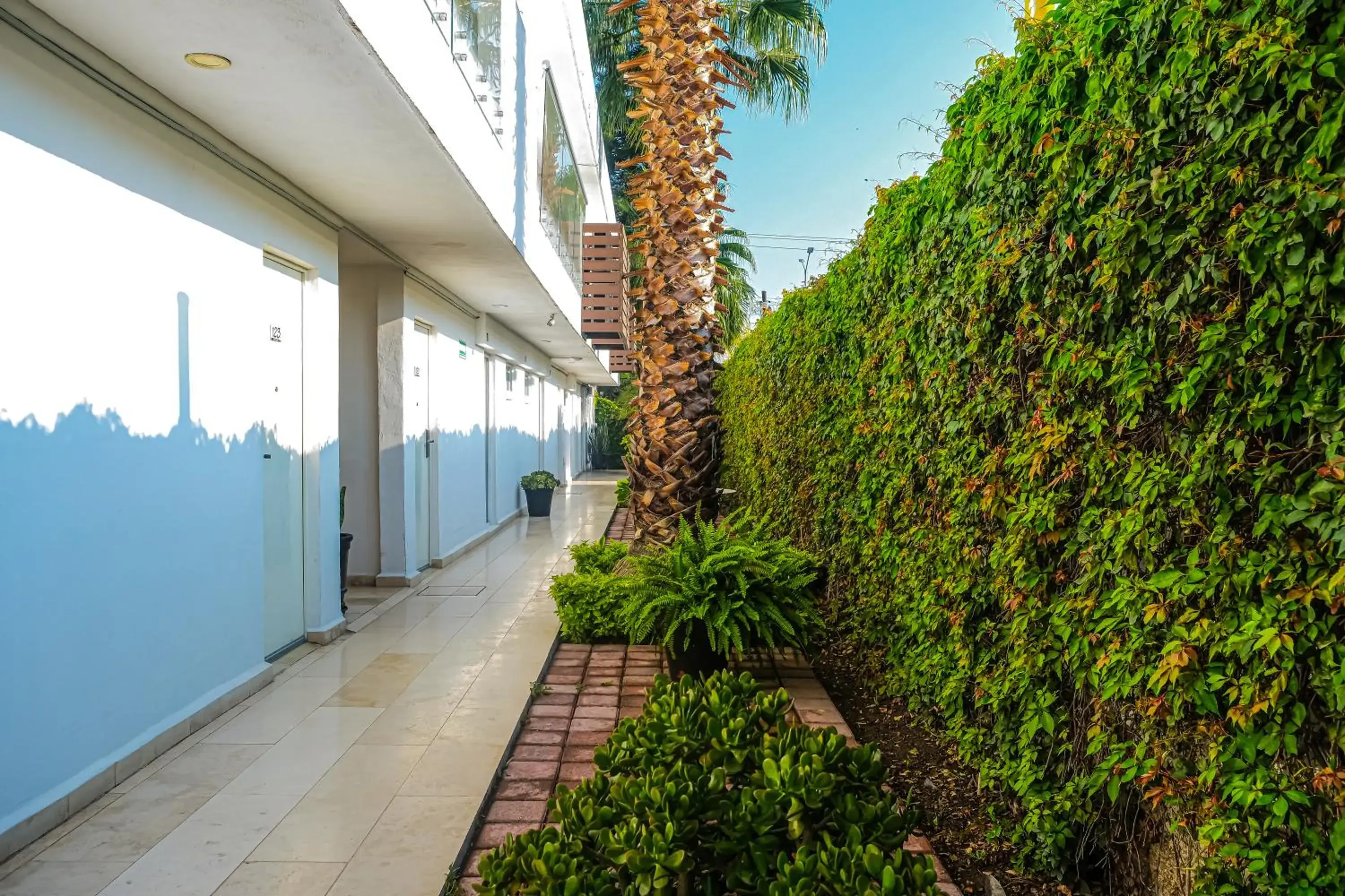 Garden view in Hotel St. George Garden view in Hotel St. George