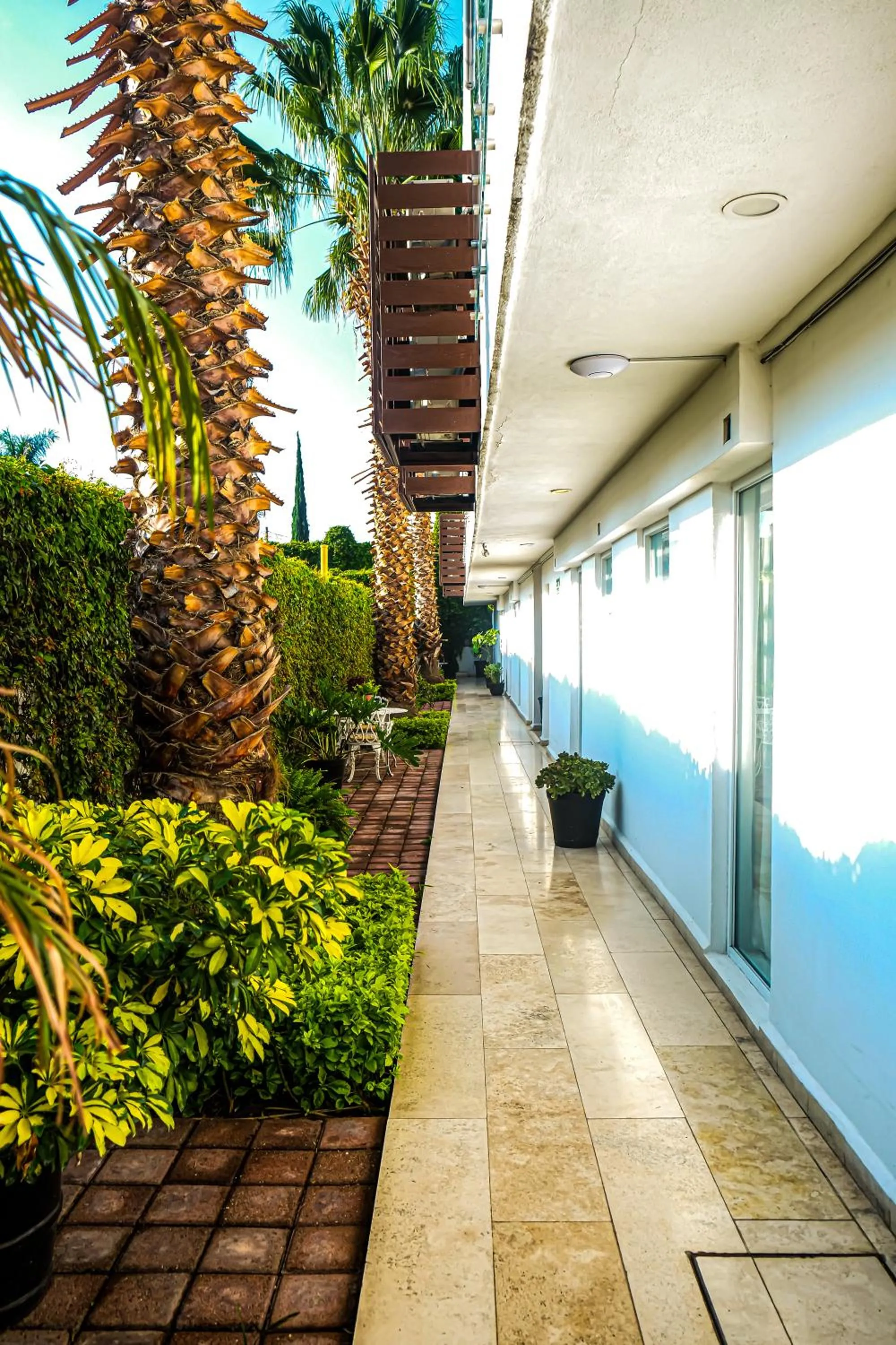 Garden view in Hotel St. George