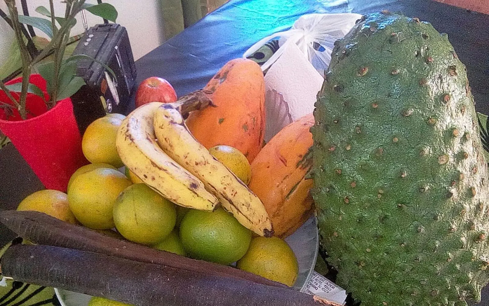 Food close-up in Casa Hotel Nurandy