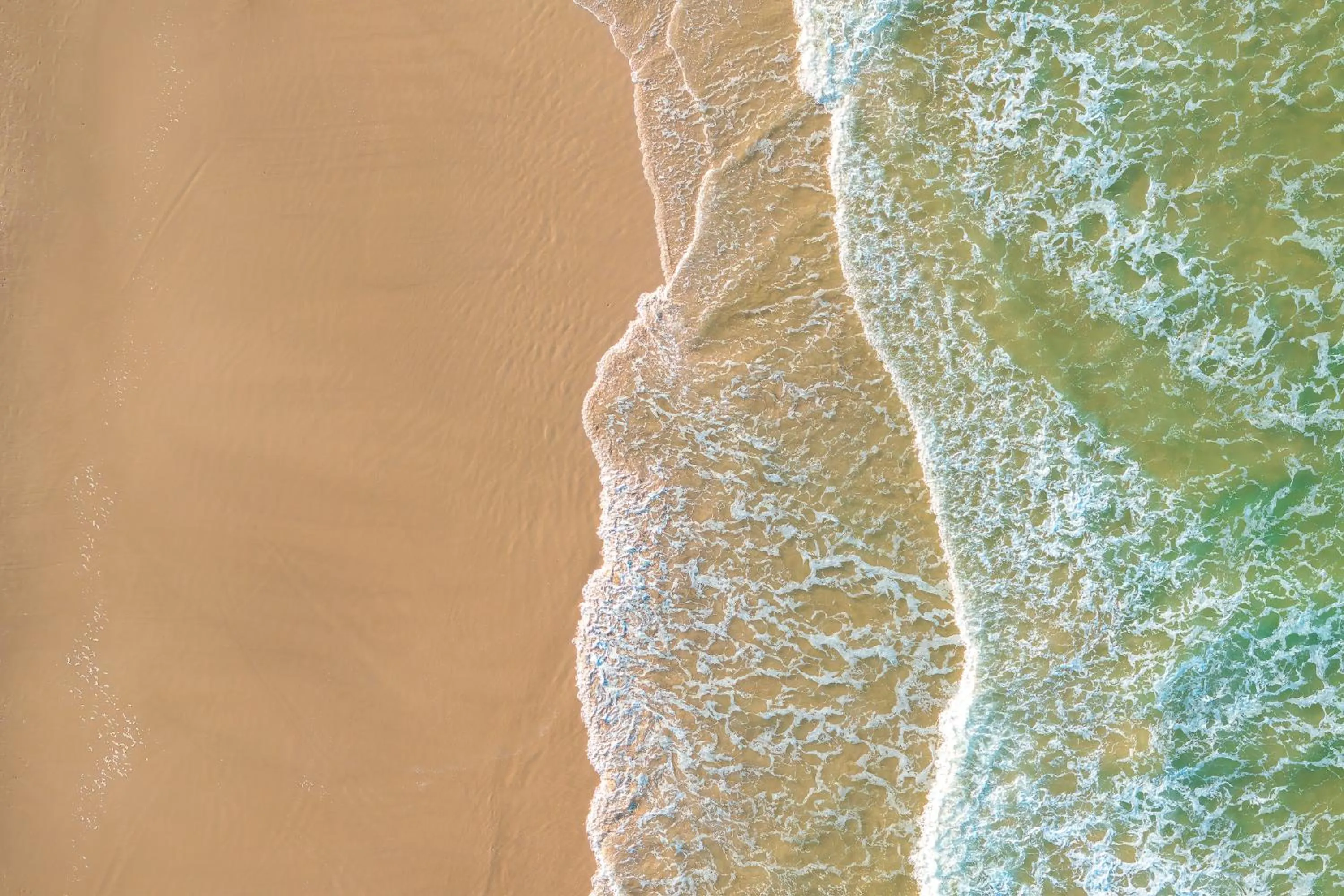 Natural landscape in Alex Seaside Resort
