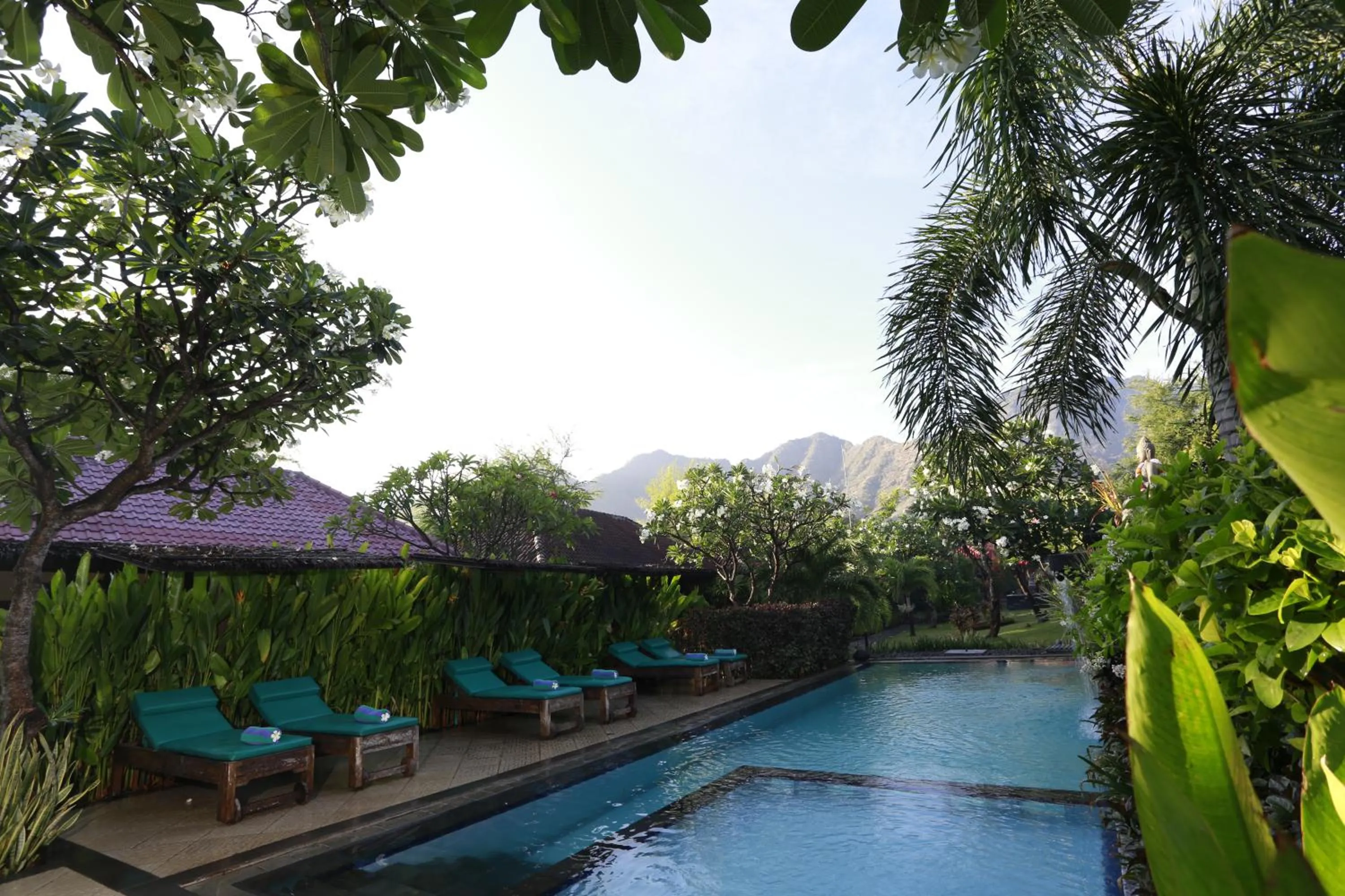 Swimming pool in Taruna Boutique Homestay & Spa