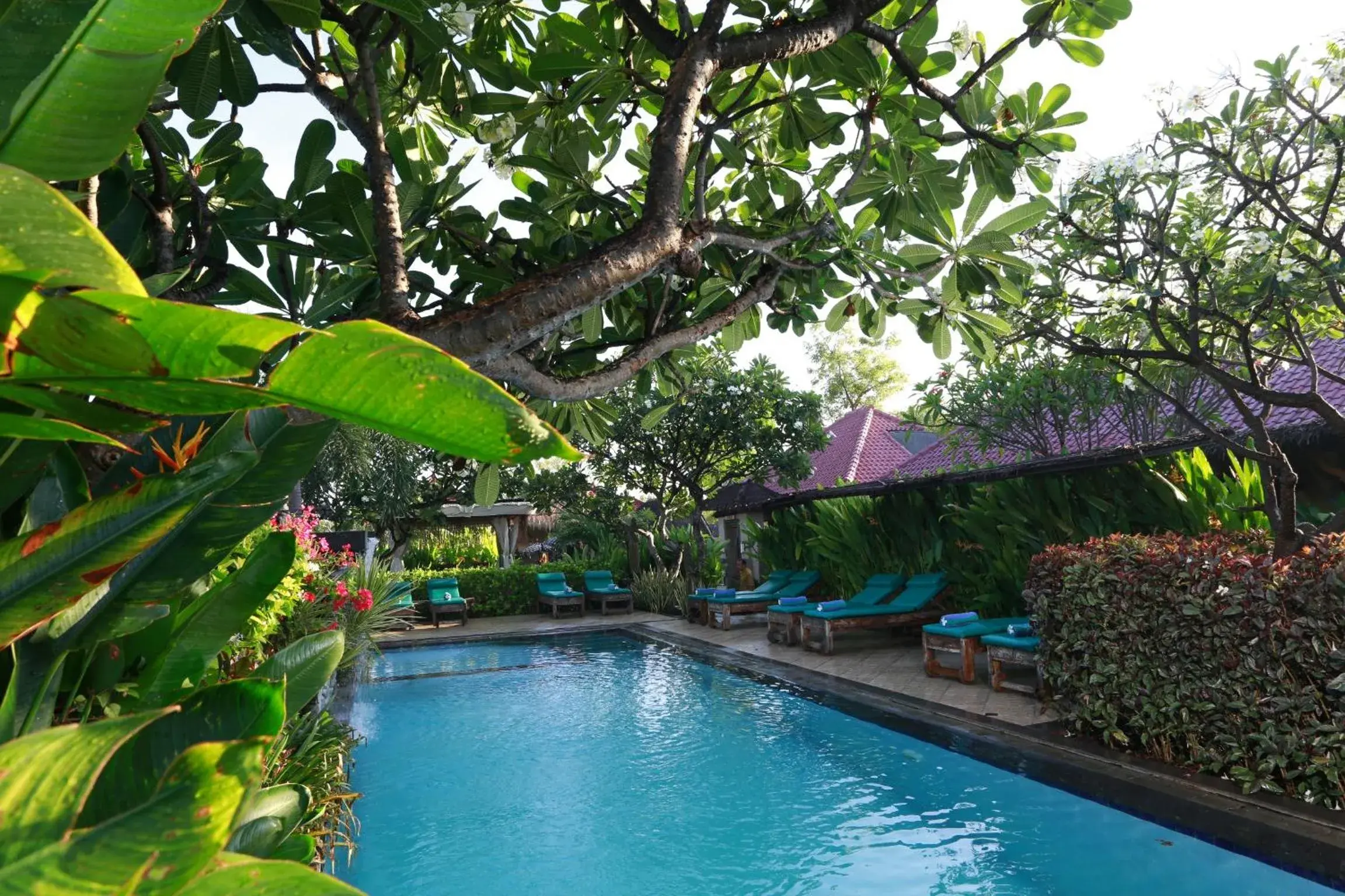 Swimming pool in Taruna Boutique Homestay & Spa Swimming pool in Taruna Boutique Homestay & Spa