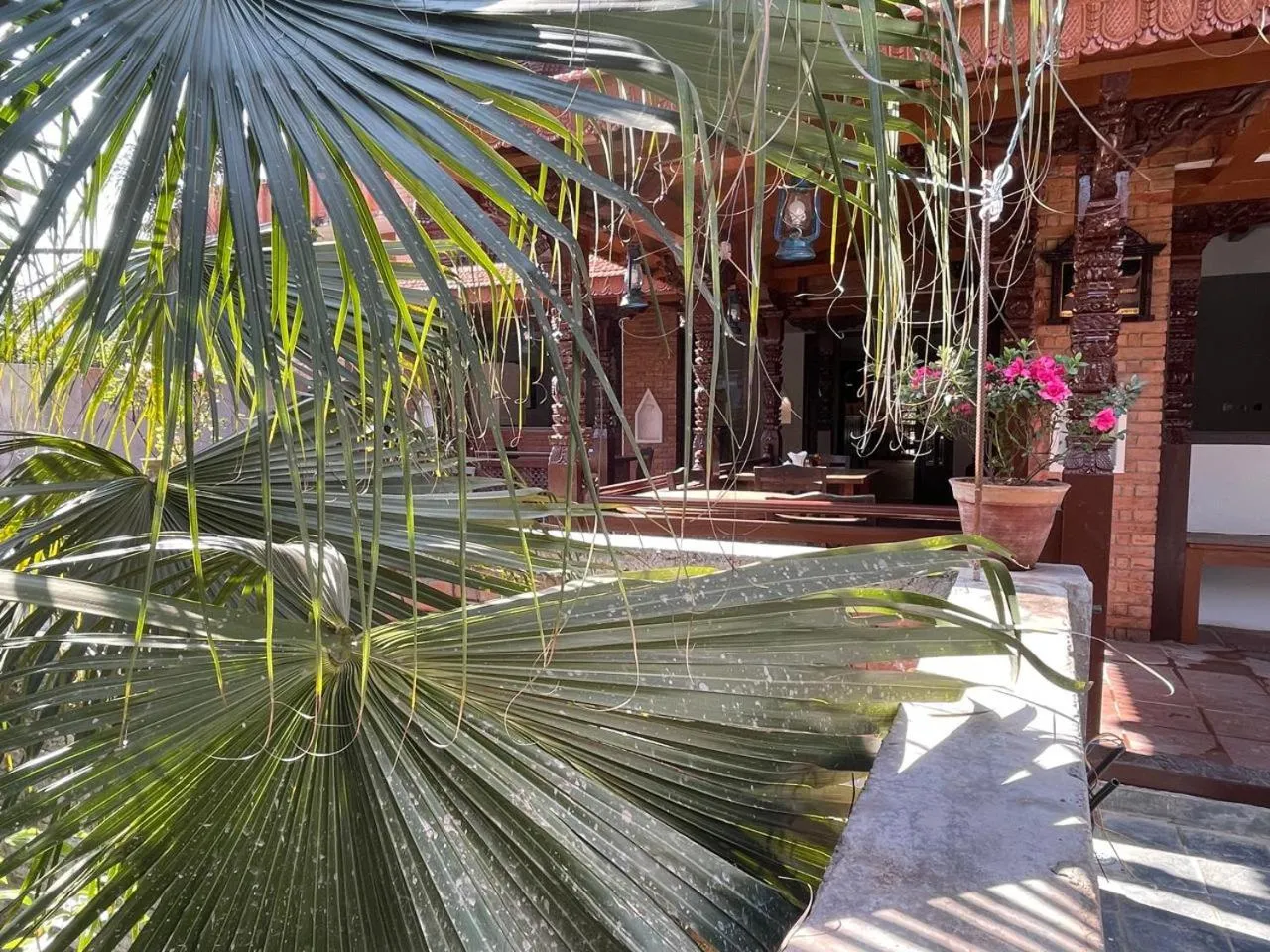 Garden view in Ambassador Garden Home