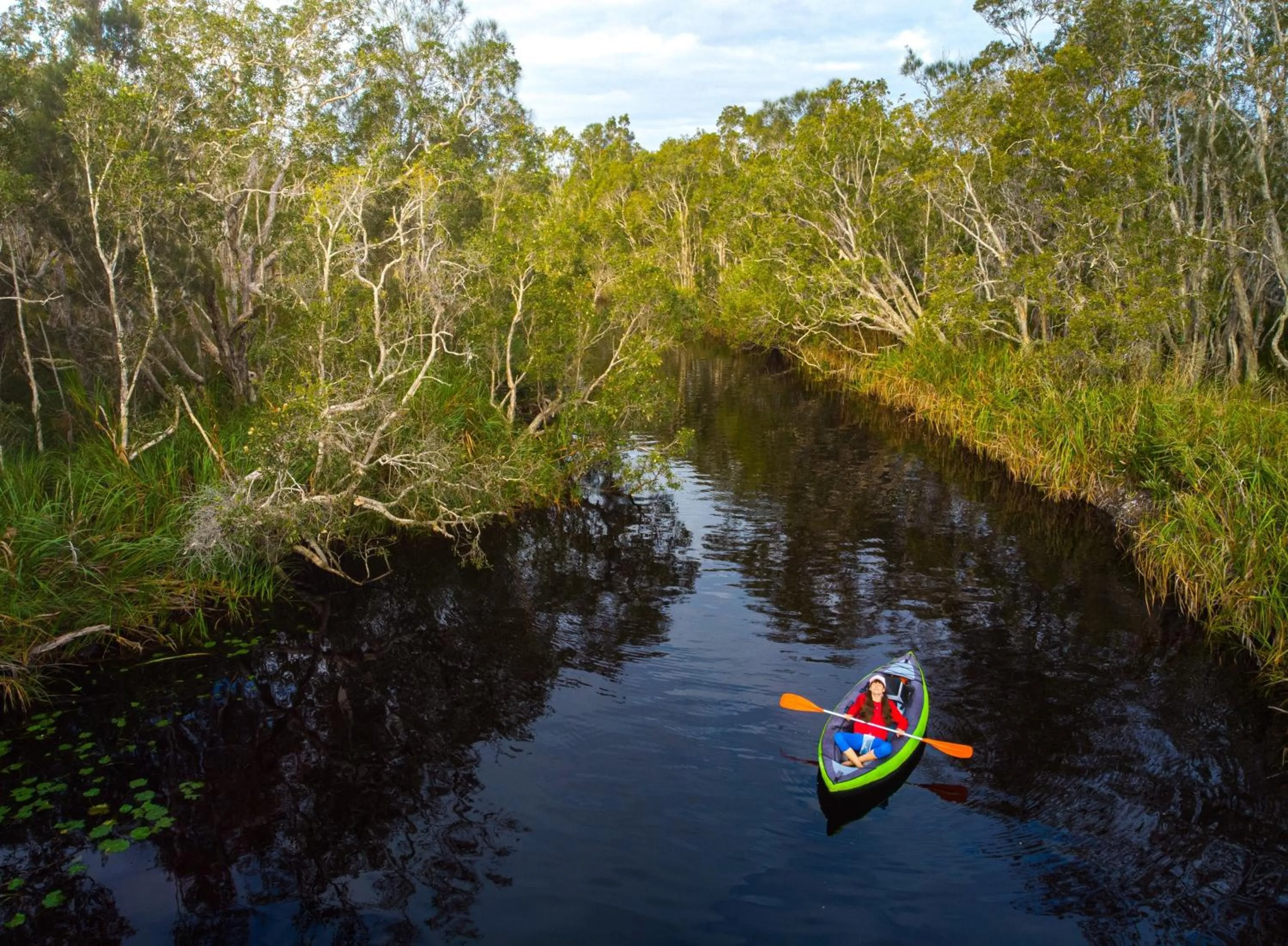 Spring in Halse Lodge Noosa Heads