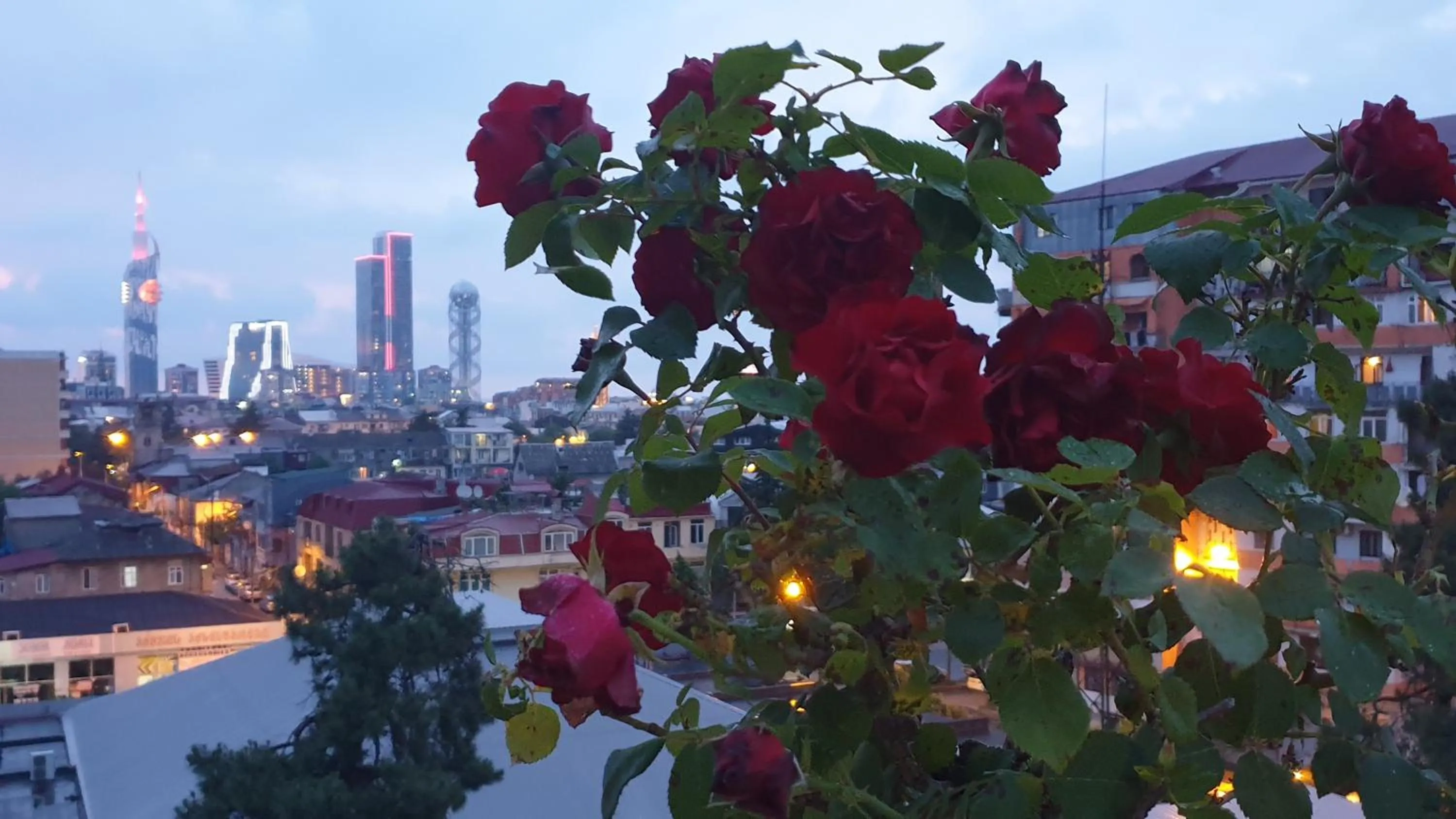 Balcony/Terrace in Marani Hotel