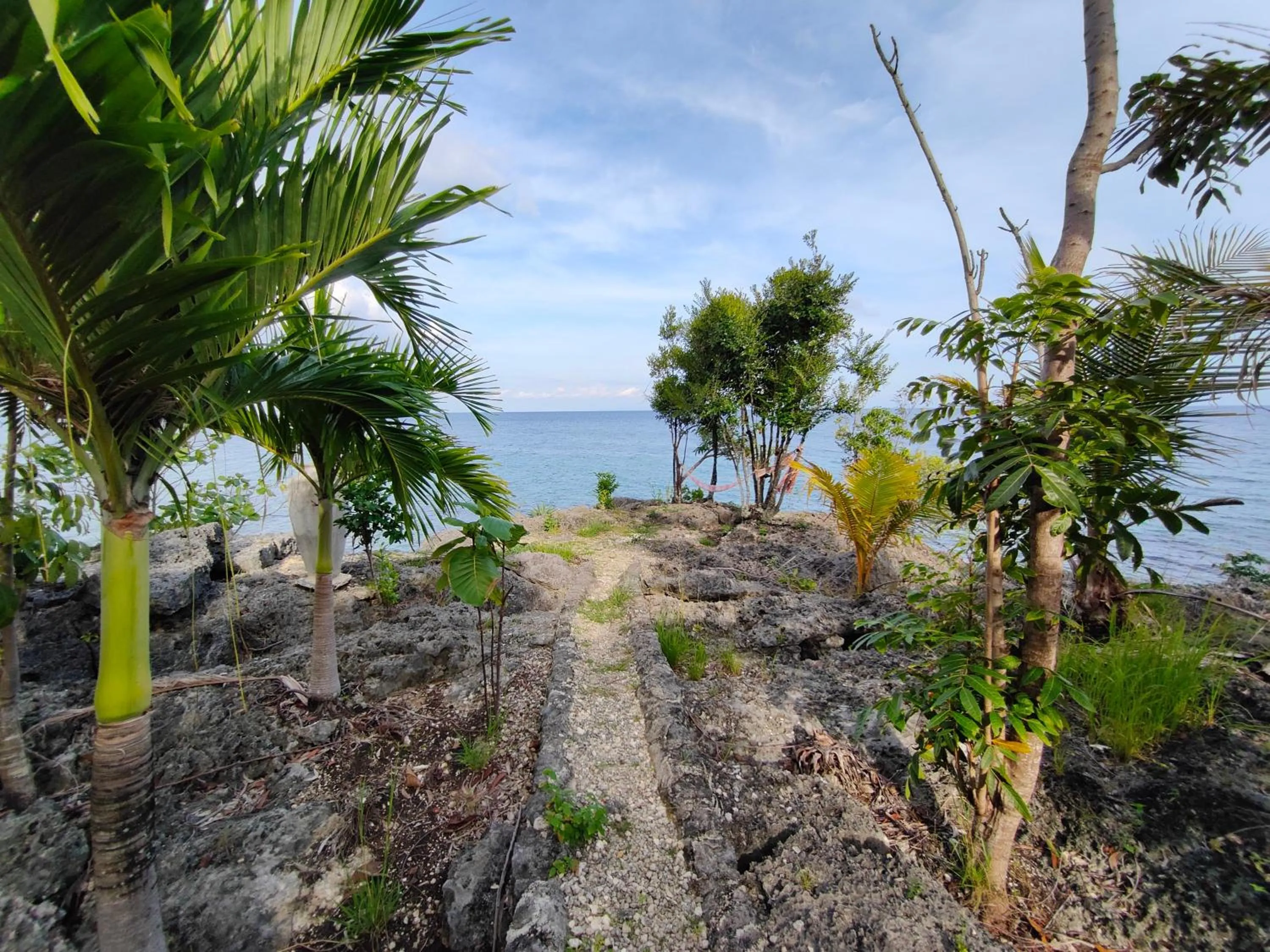 Garden in Meili Beach Resort
