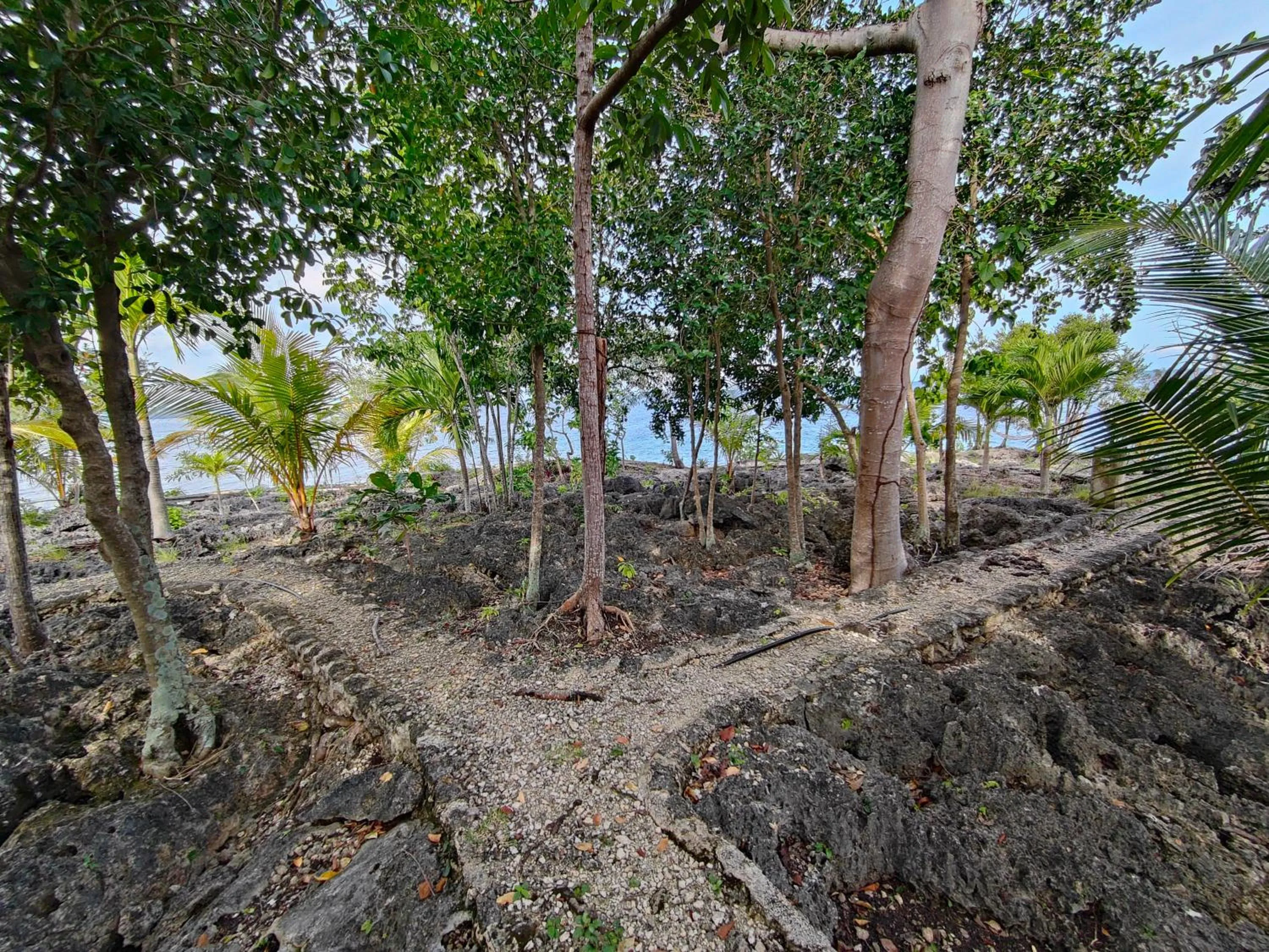 Garden in Meili Beach Resort