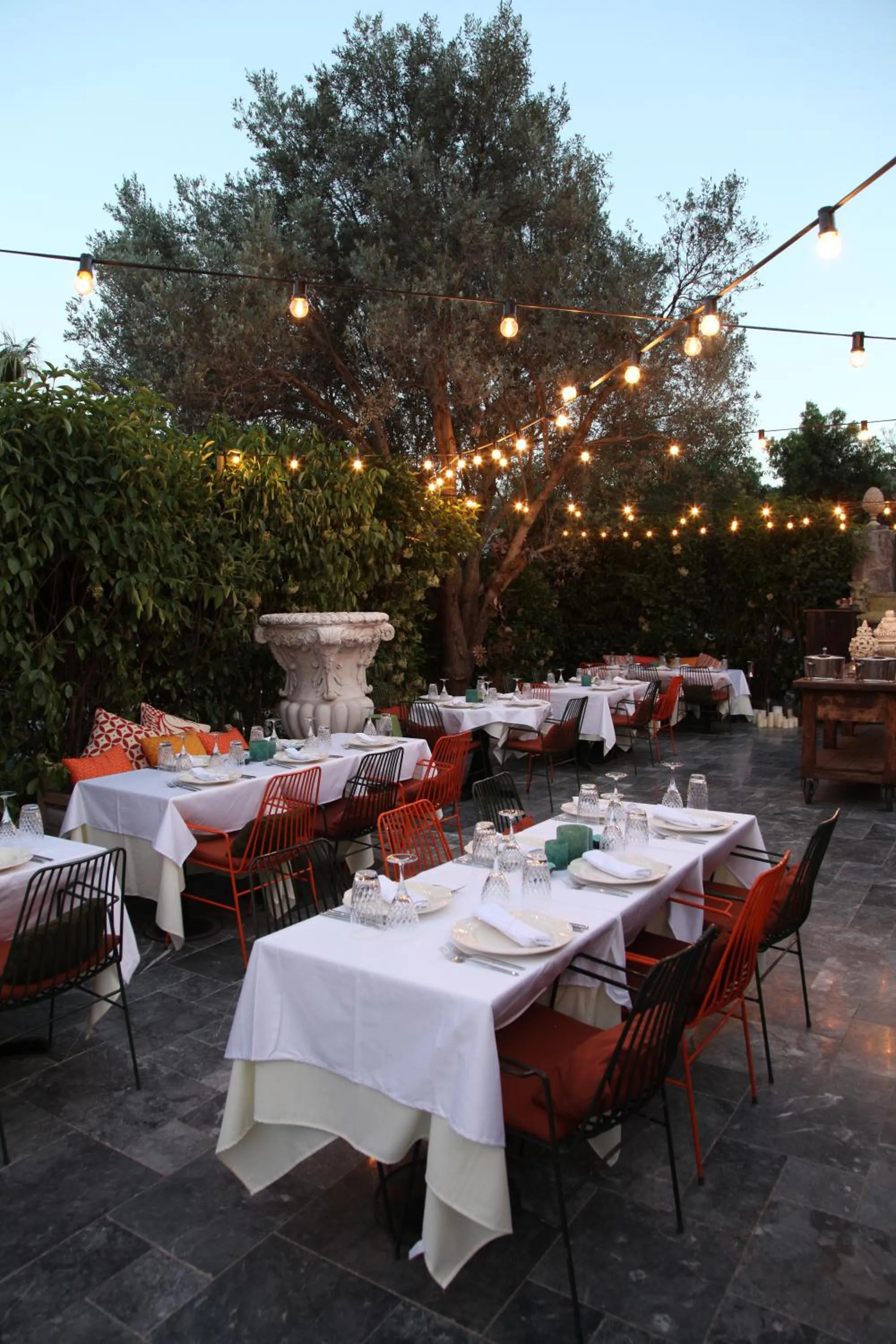 Restaurant/places to eat in Bella Sombra Hotel