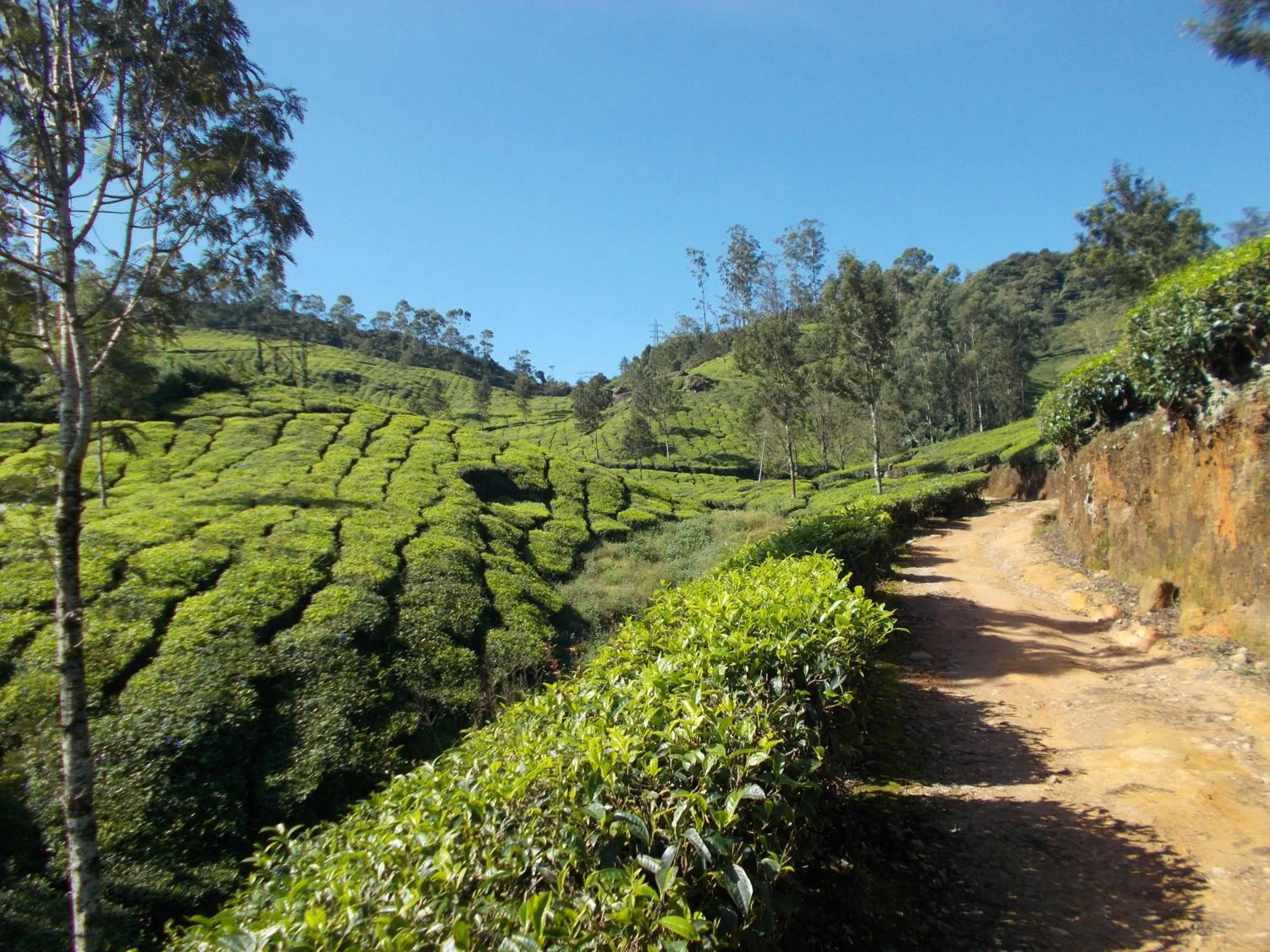 Greenview holiday inn