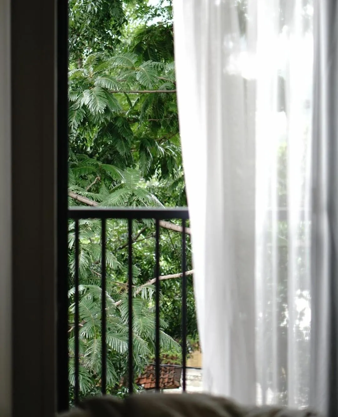 Garden view in Kollektiv Hotel