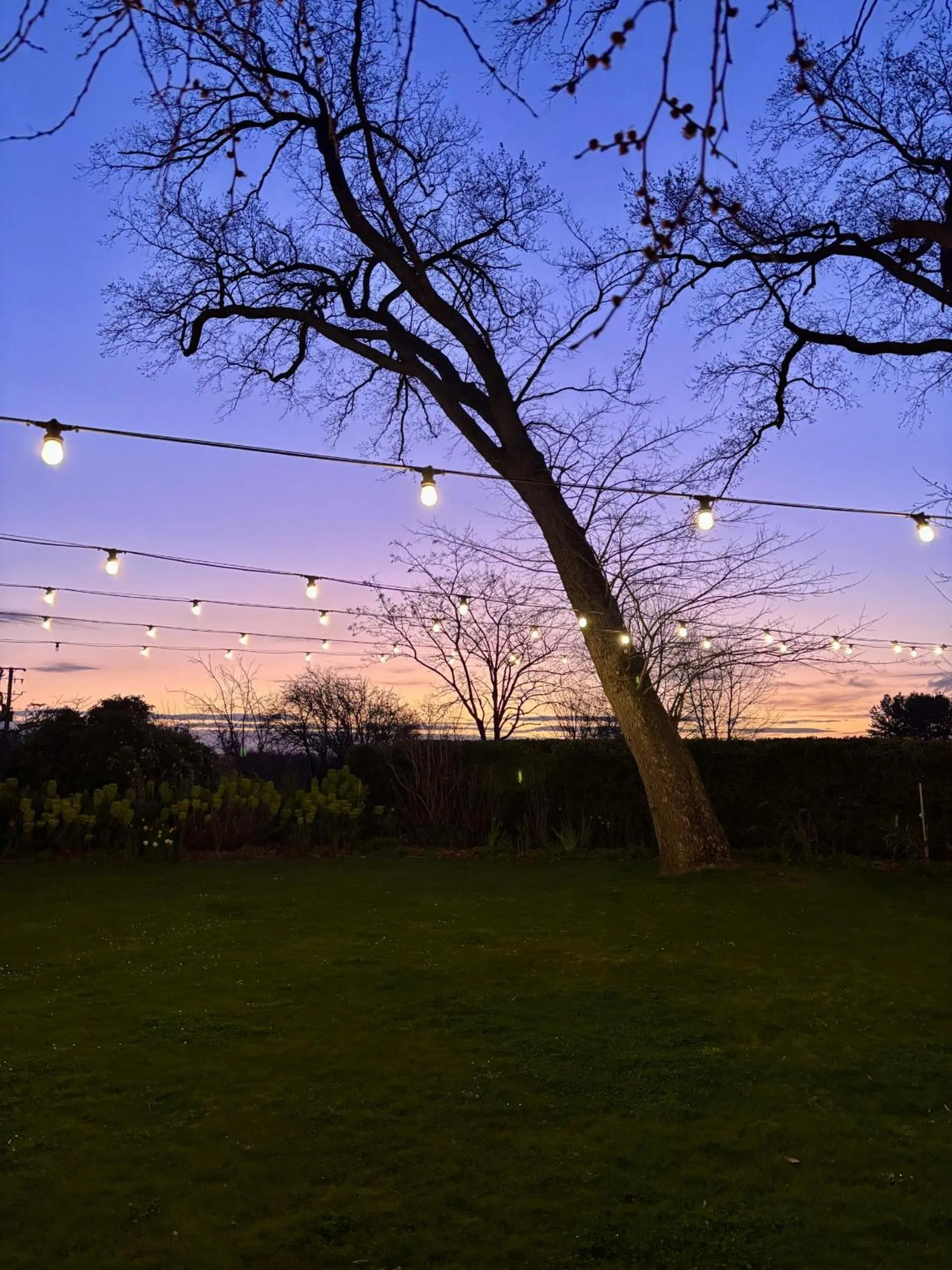 Garden in Quamby Estate - 20 Minutes from Launceston