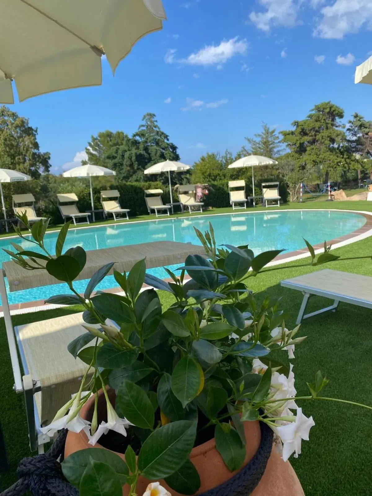 Swimming pool in Hotel Cala Mirto Swimming pool in Hotel Cala Mirto