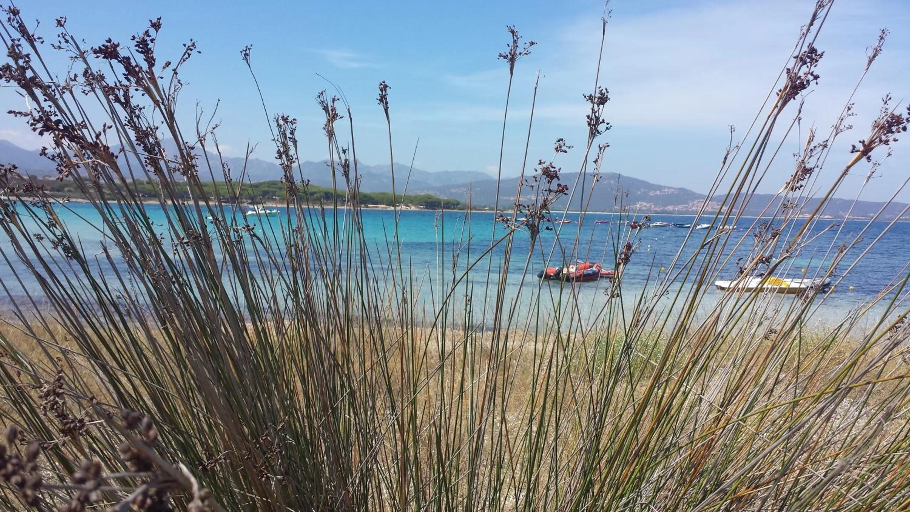 Beach in Hotel Cala Mirto