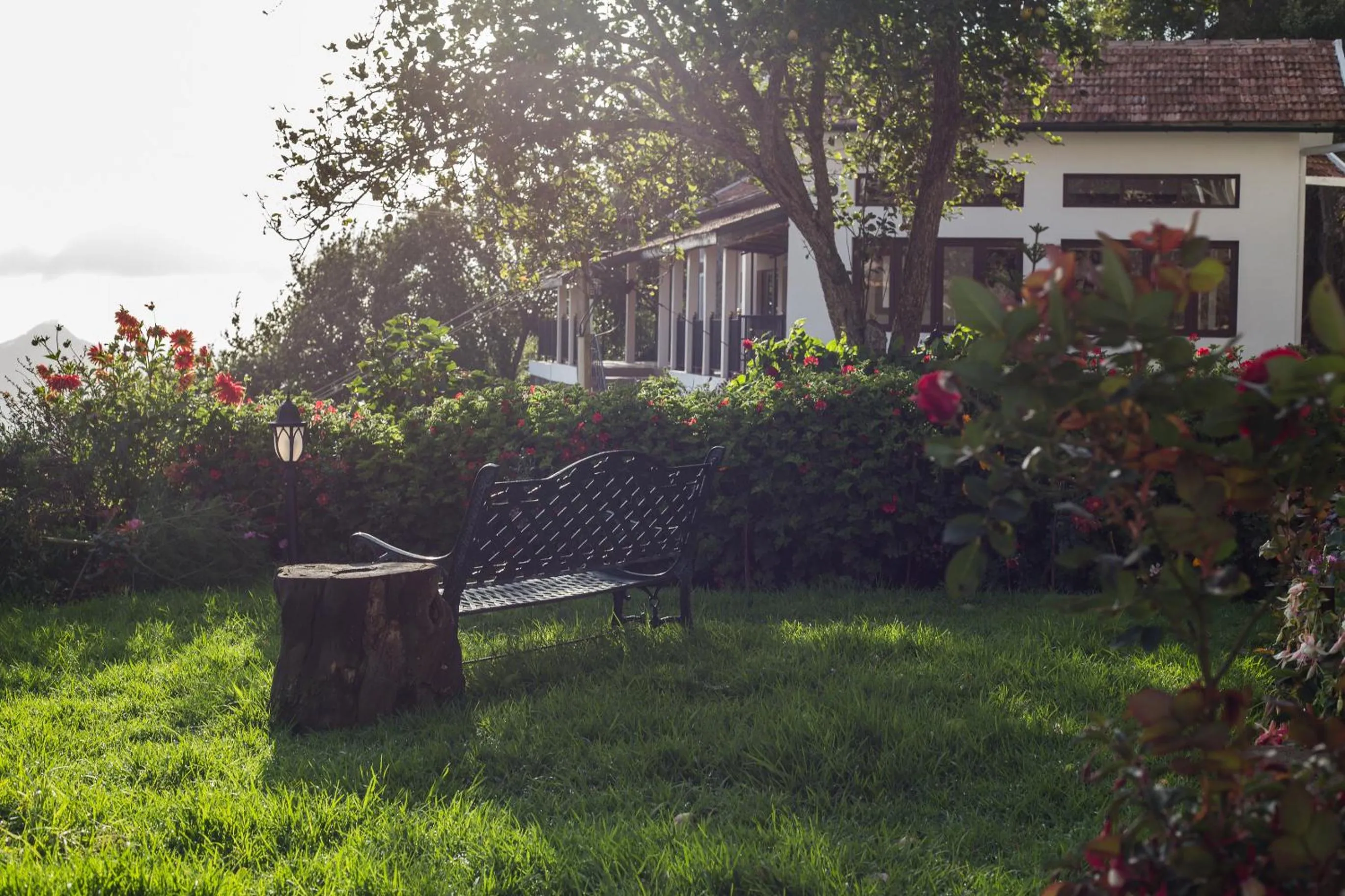 Garden in The Xanadu Birkenhead