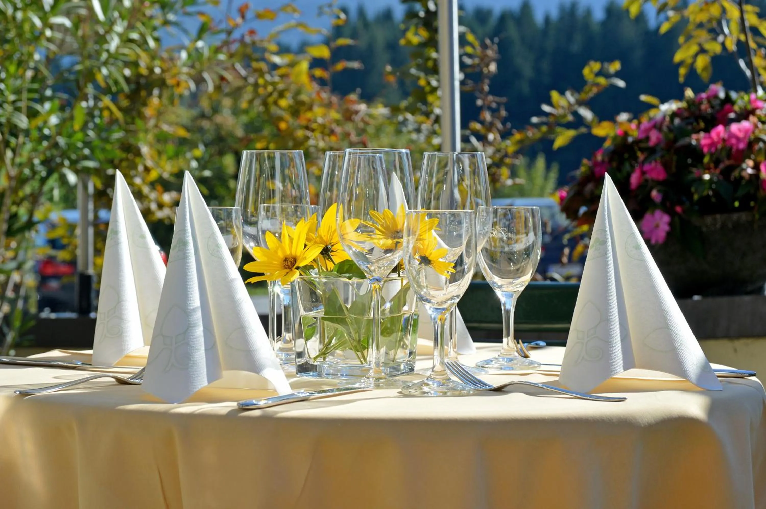 Food and drinks in Hotel Baumgarten & Chalet Baumgarten