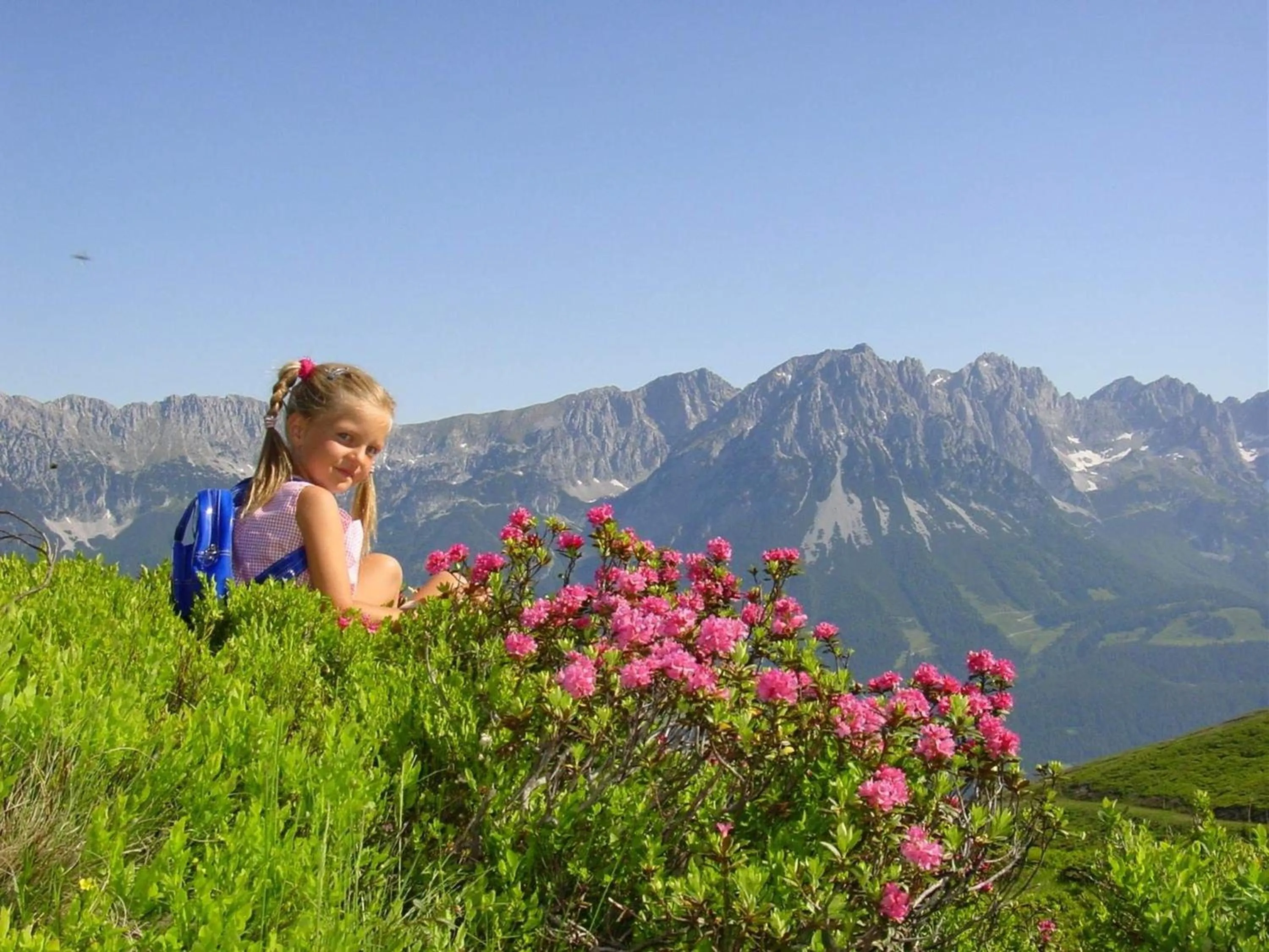 Natural landscape in Hotel Baumgarten & Chalet Baumgarten