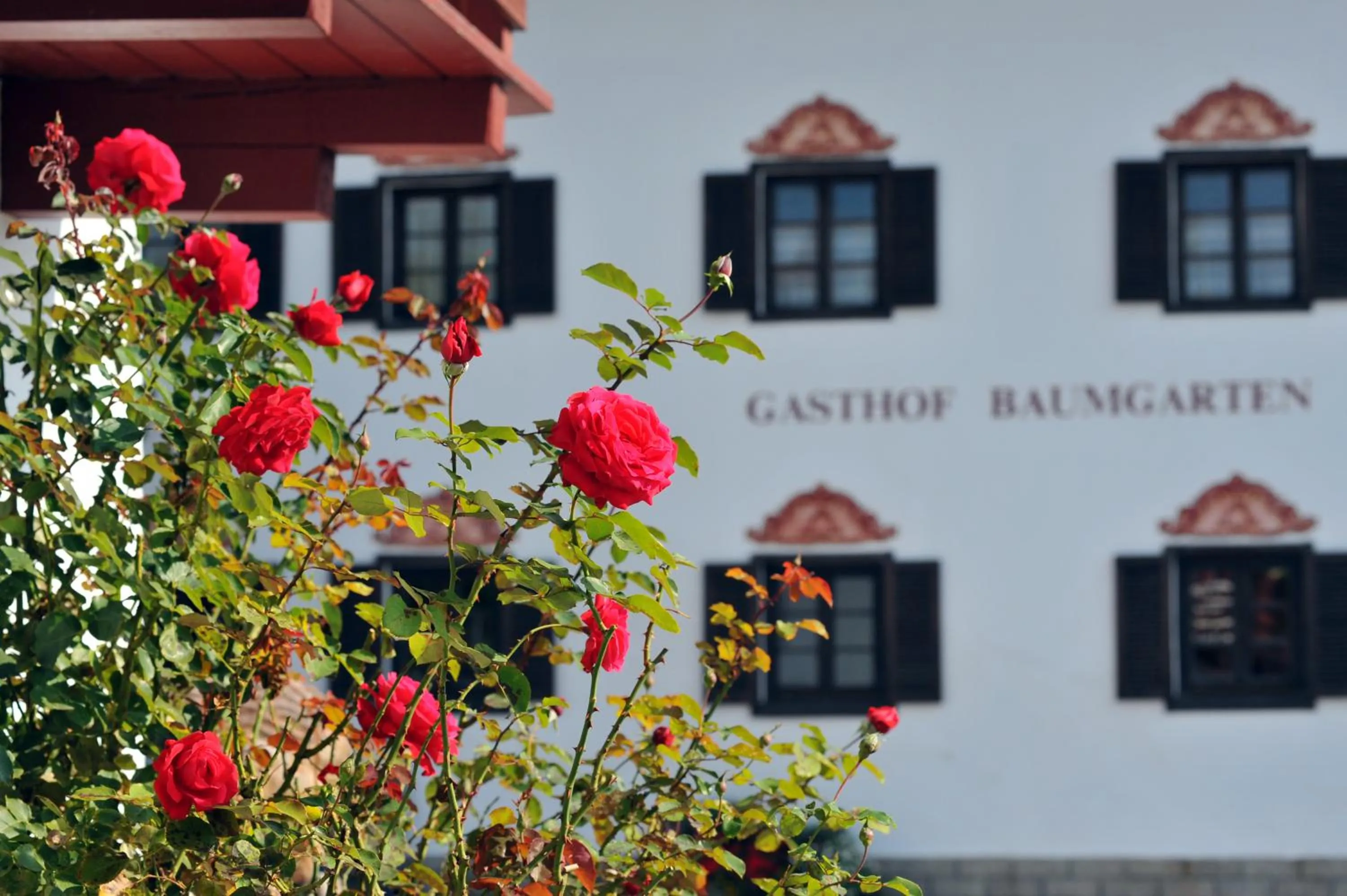 Property building in Hotel Baumgarten & Chalet Baumgarten