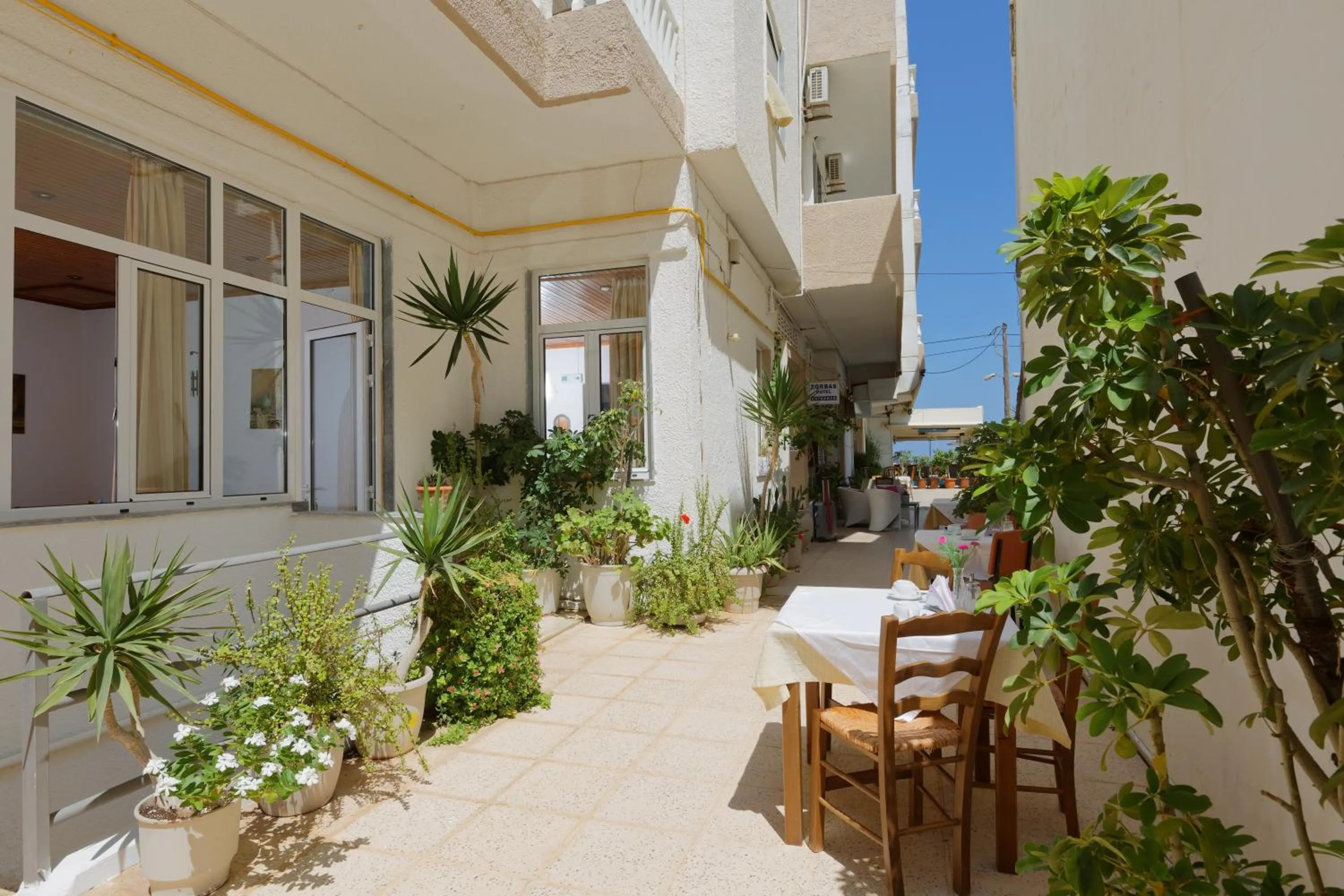 Facade/entrance in Zorbas Hotel