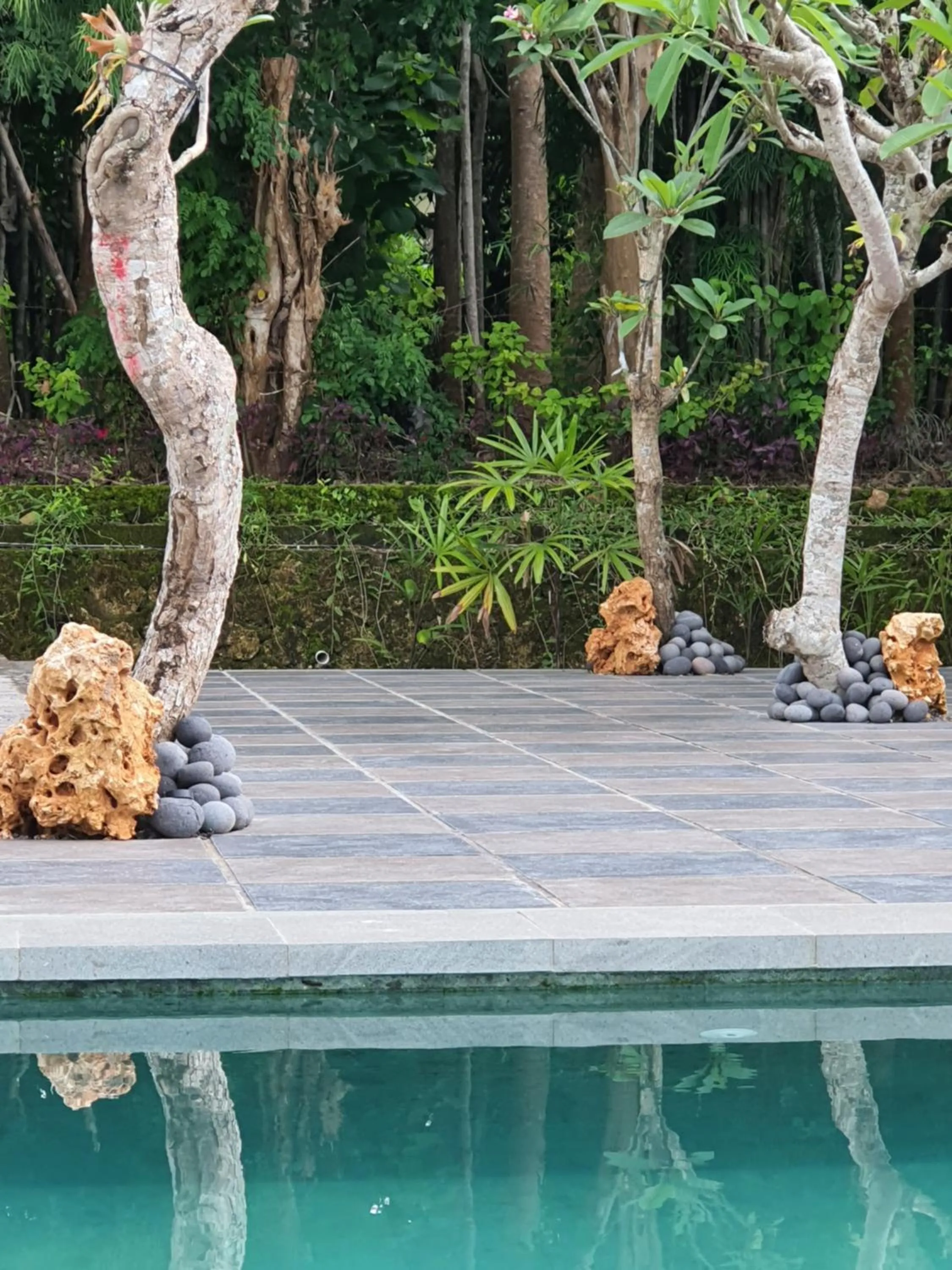 Medori Putih Homestay