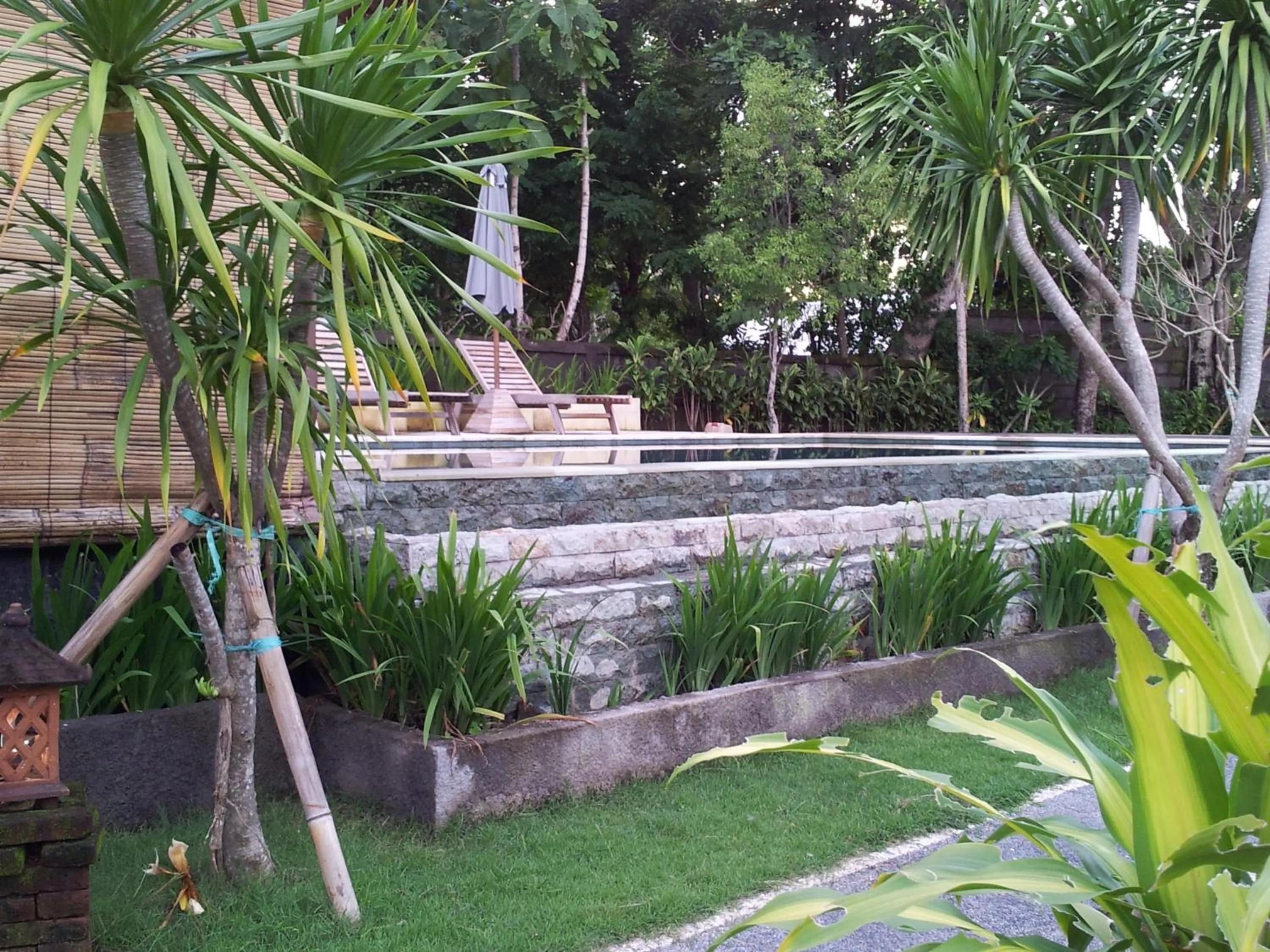 Swimming pool in Medori Putih Homestay