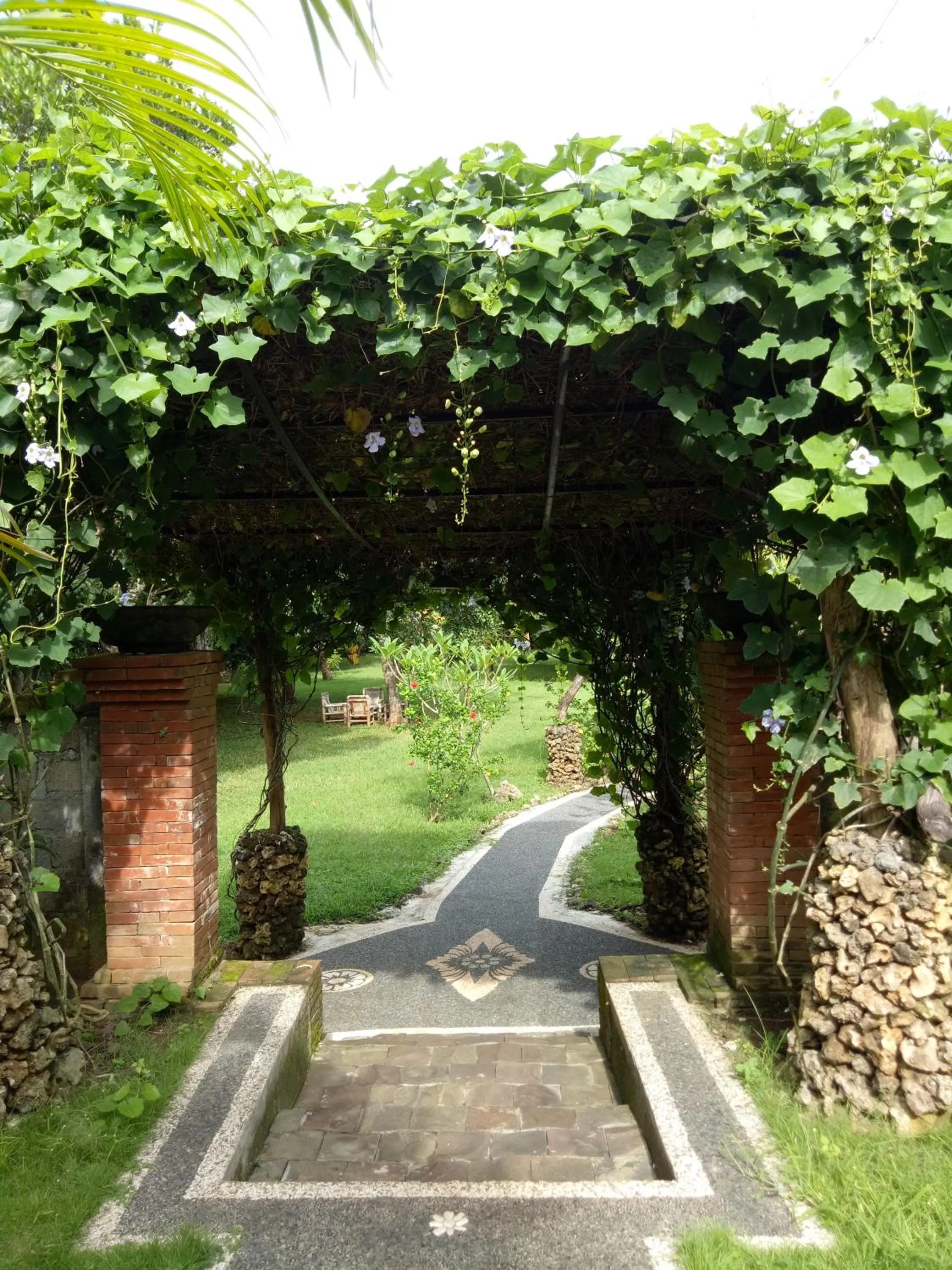 Medori Putih Homestay