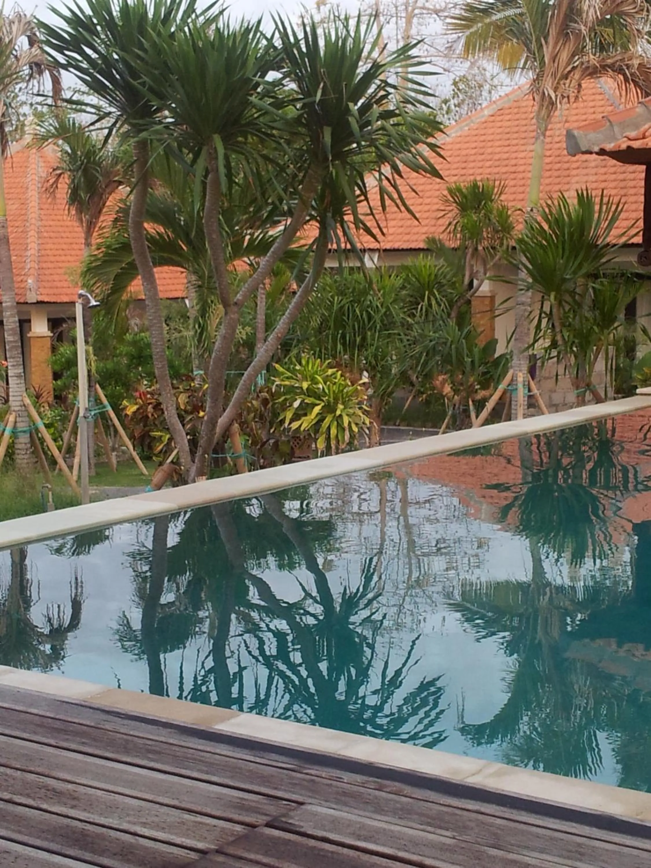 Swimming pool in Medori Putih Homestay