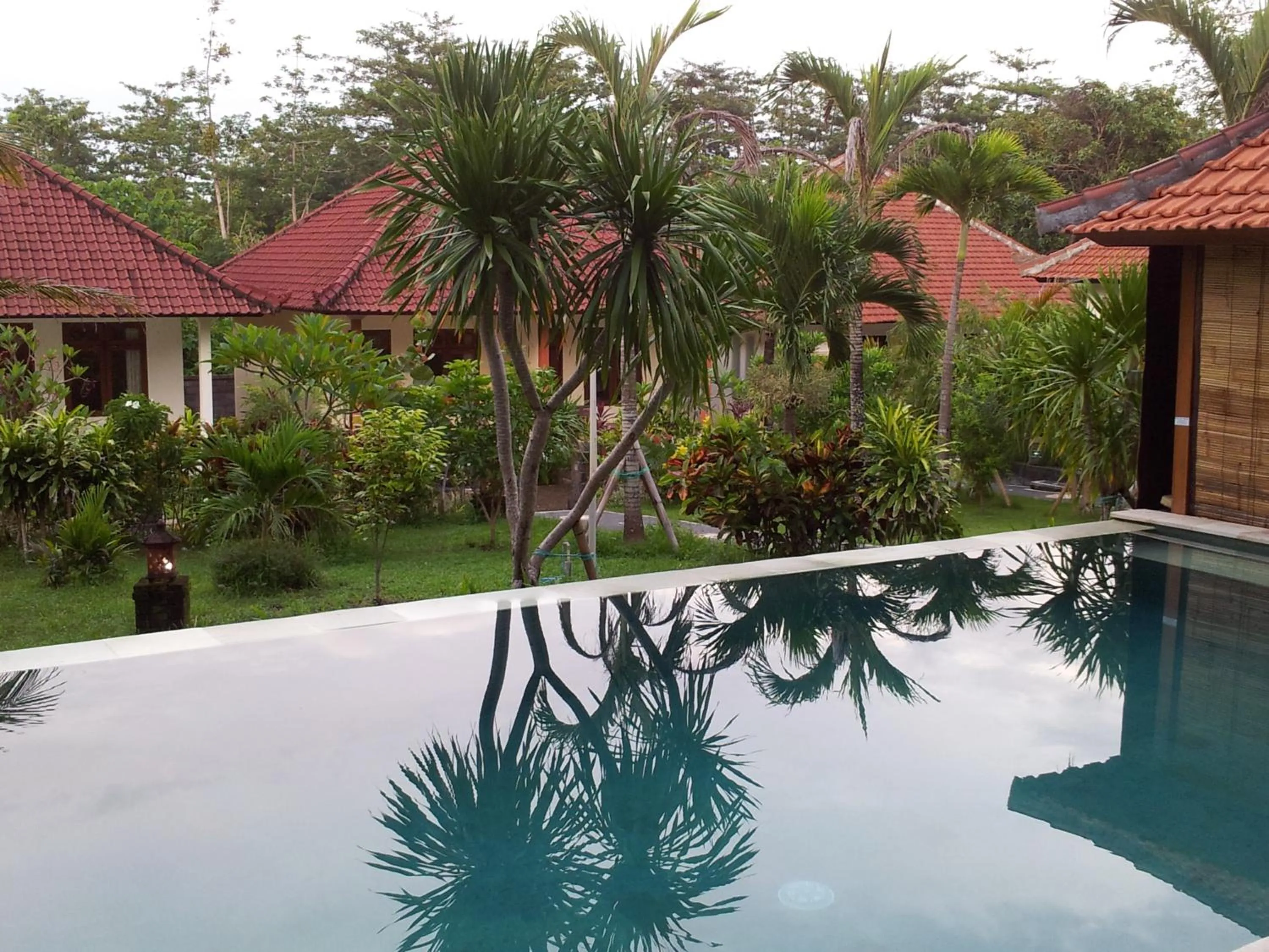 Swimming pool in Medori Putih Homestay