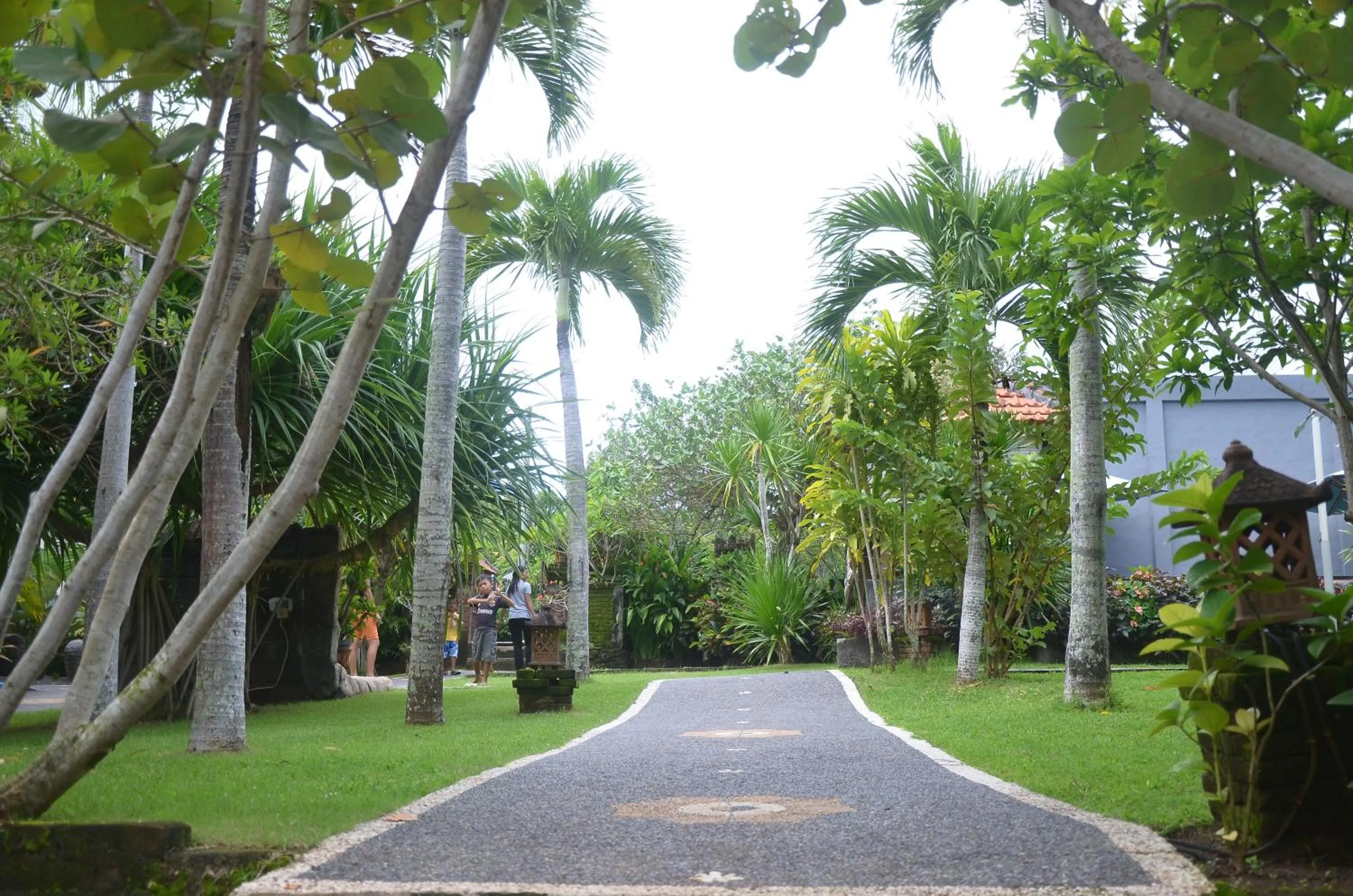 Medori Putih Homestay